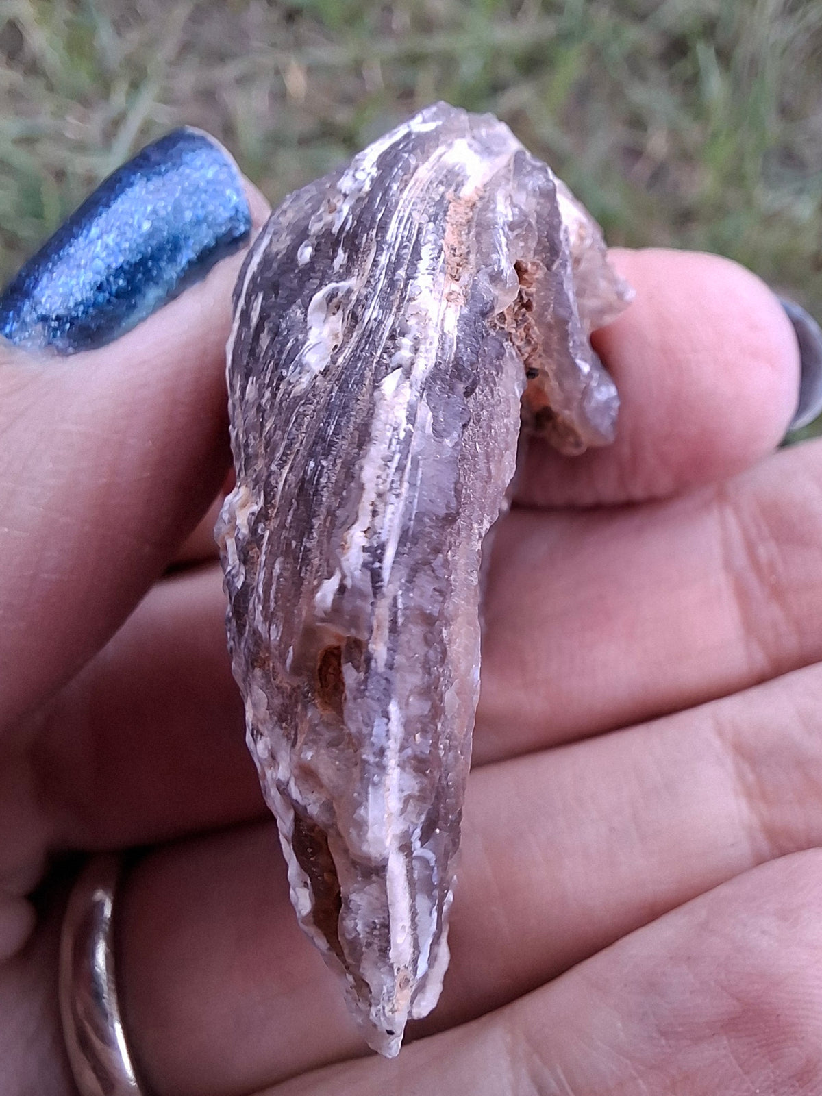Chalcedony Oyster, Fossil (Ref: FO4)