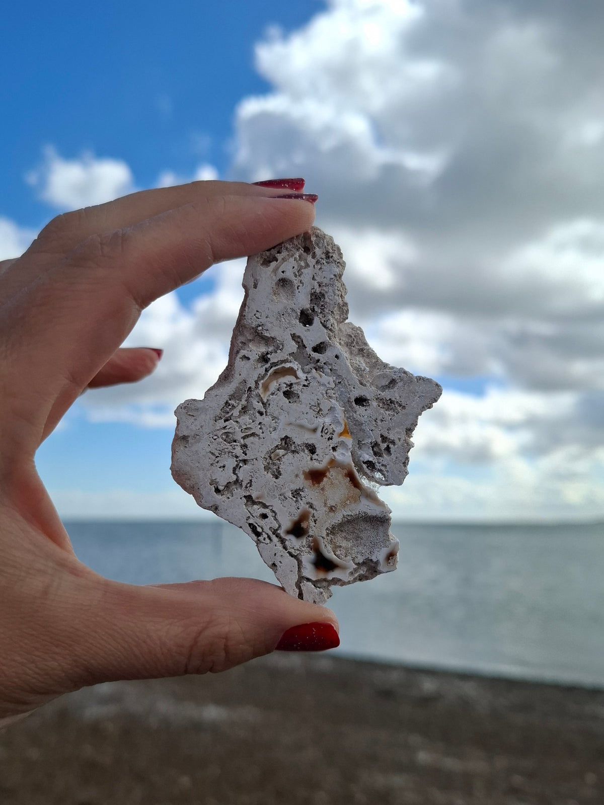 Fossilised Coral replaced by Chalcedony/Agate, Fossil (Ref: FCA1)