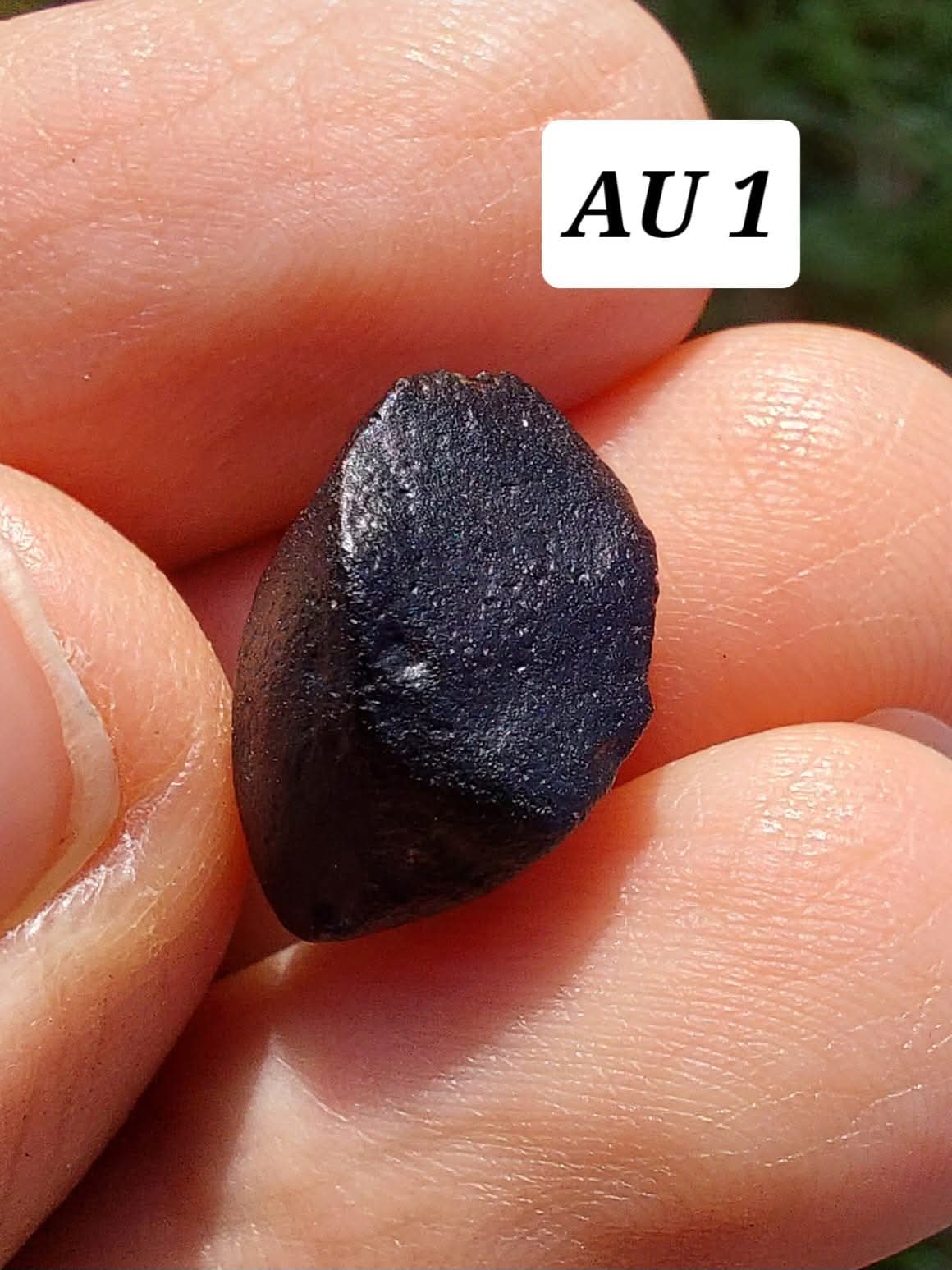 Australite, 1.54g, Tektite (Ref: AU1)