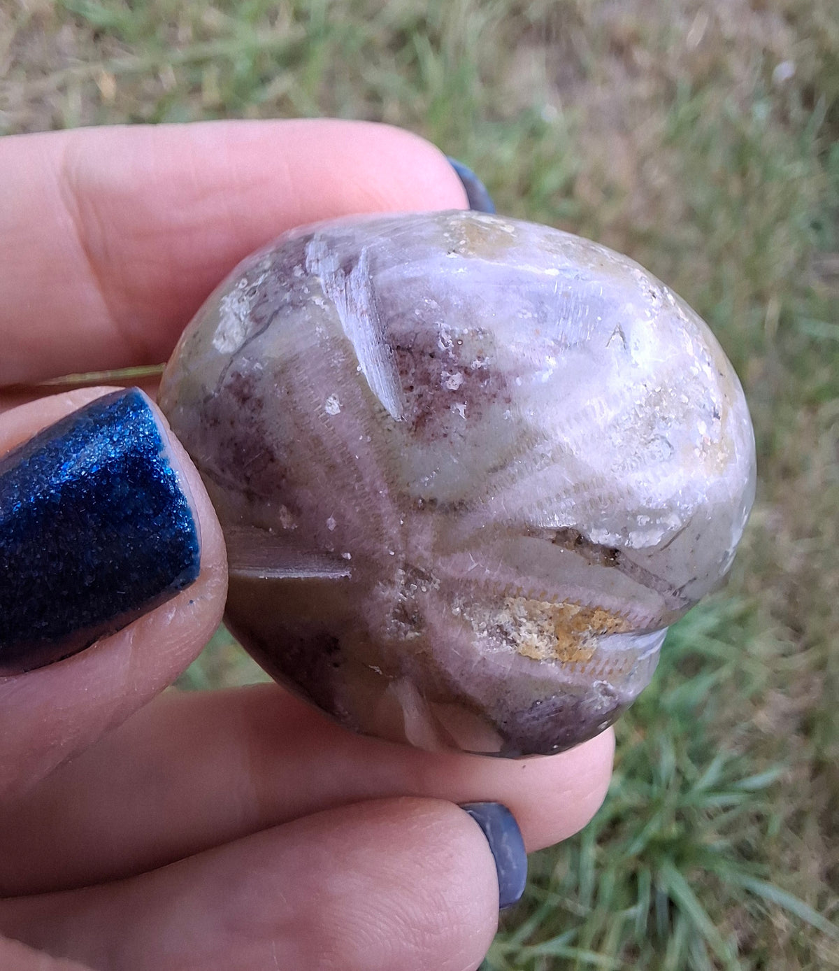 Polished Sea Urchin, Fossil (Ref: SU6)
