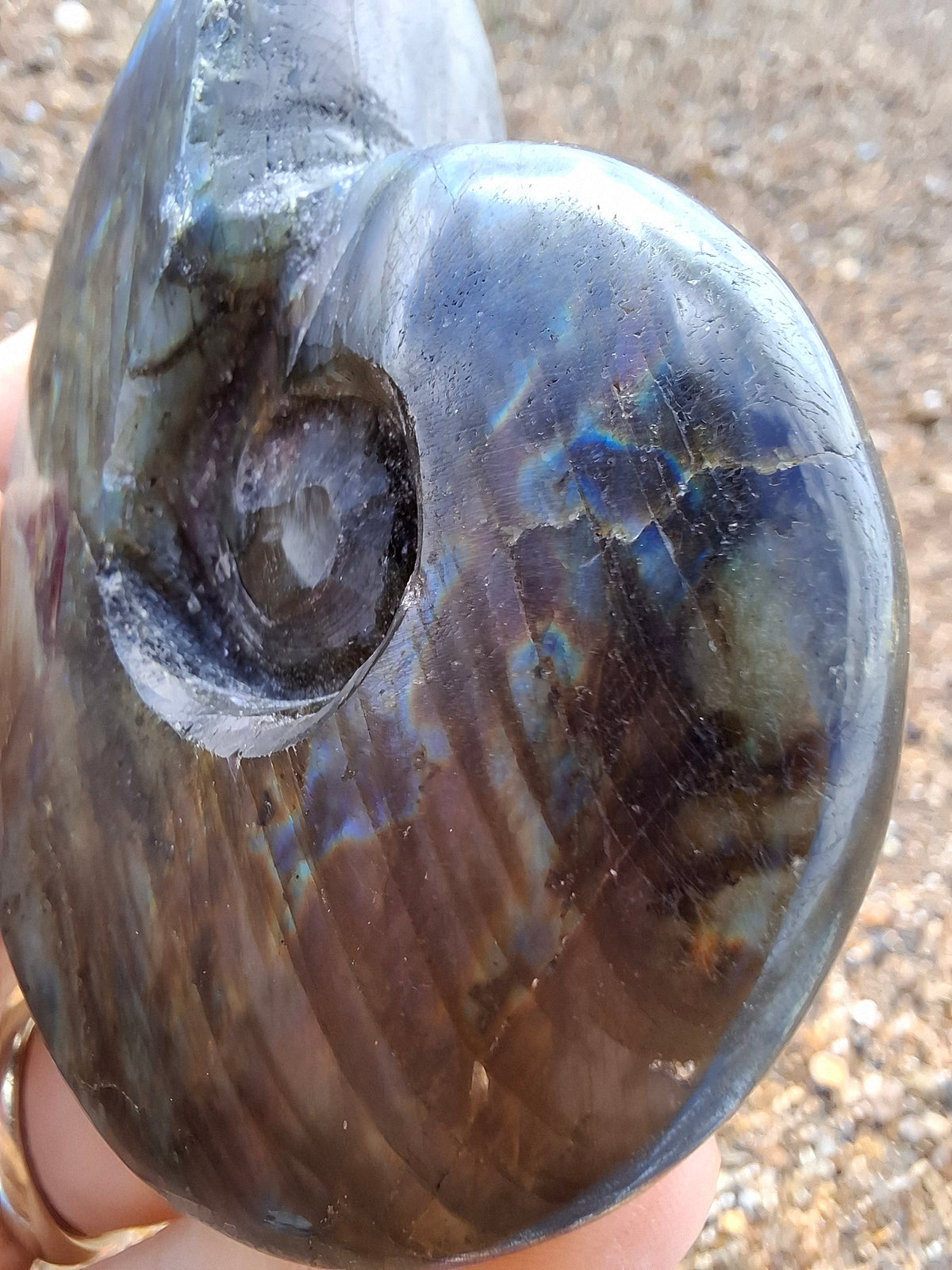 Labradorite Ammonite Carving, 153.97g, Crystal (Ref: laba2)