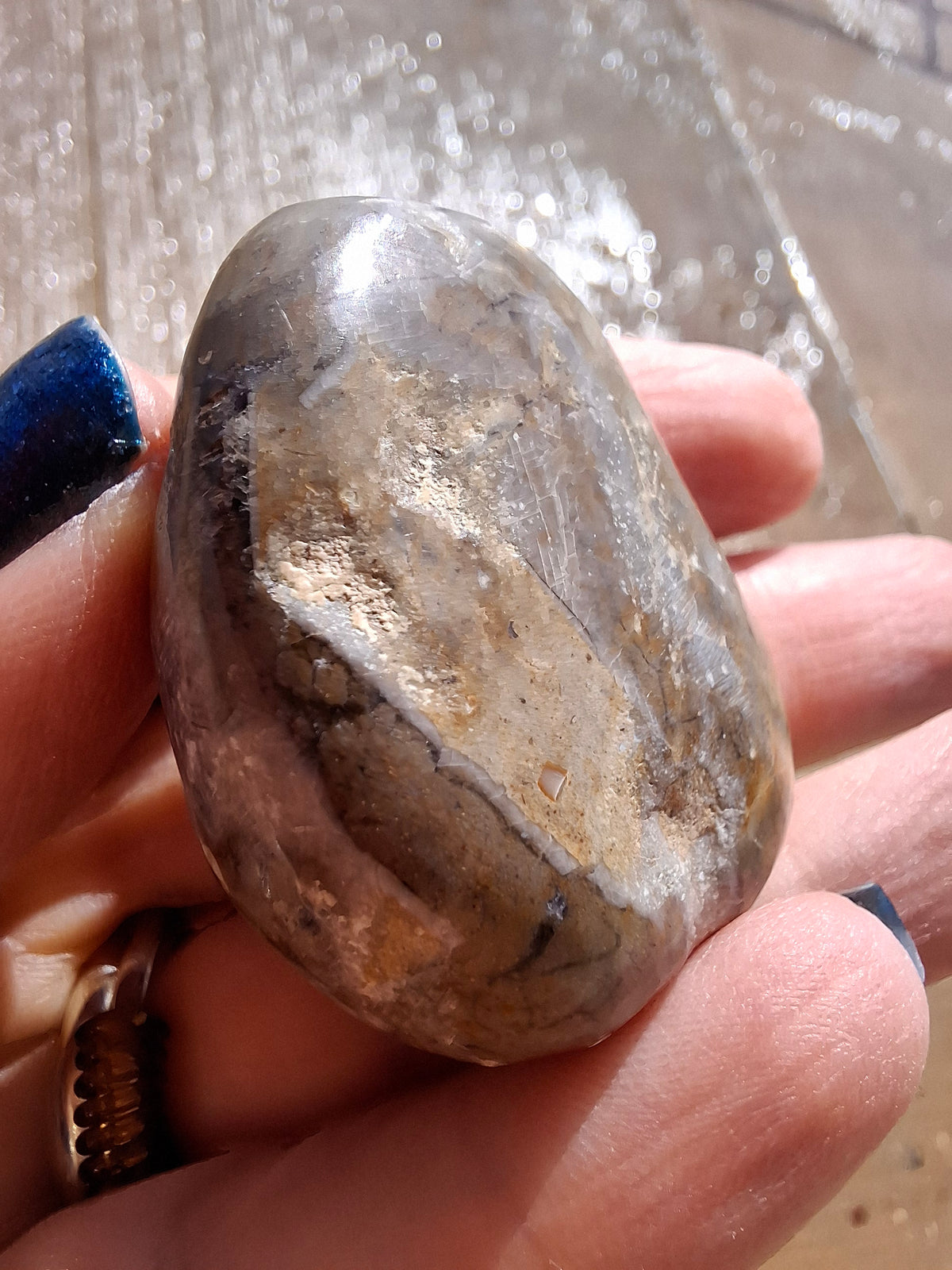 Polished Sea Urchin, Fossil (Ref: SU2)