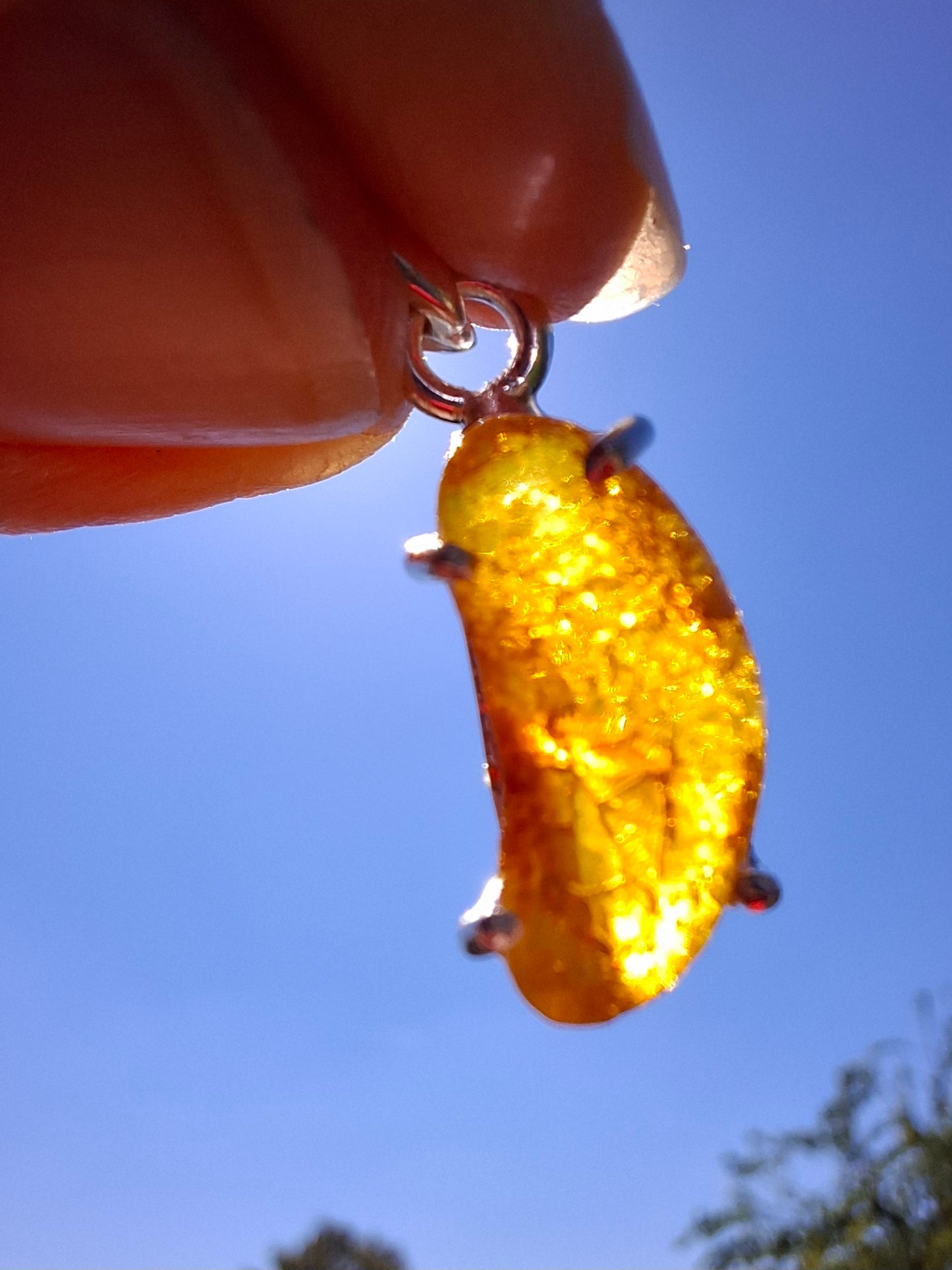 Baltic Amber Pendant, 925 Silver, Fossil (Ref: AP21)