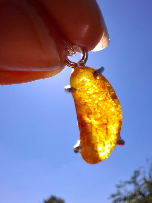 Baltic Amber Pendant, 925 Silver, Fossil (Ref: AP21)
