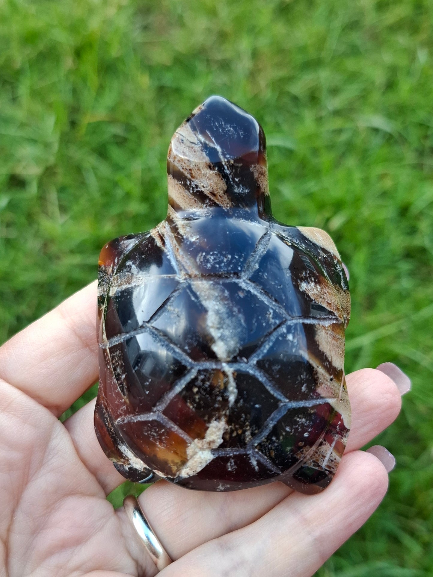 Red Amber Turtle, 50.00g, Carving, Fossil (Ref: TT6)