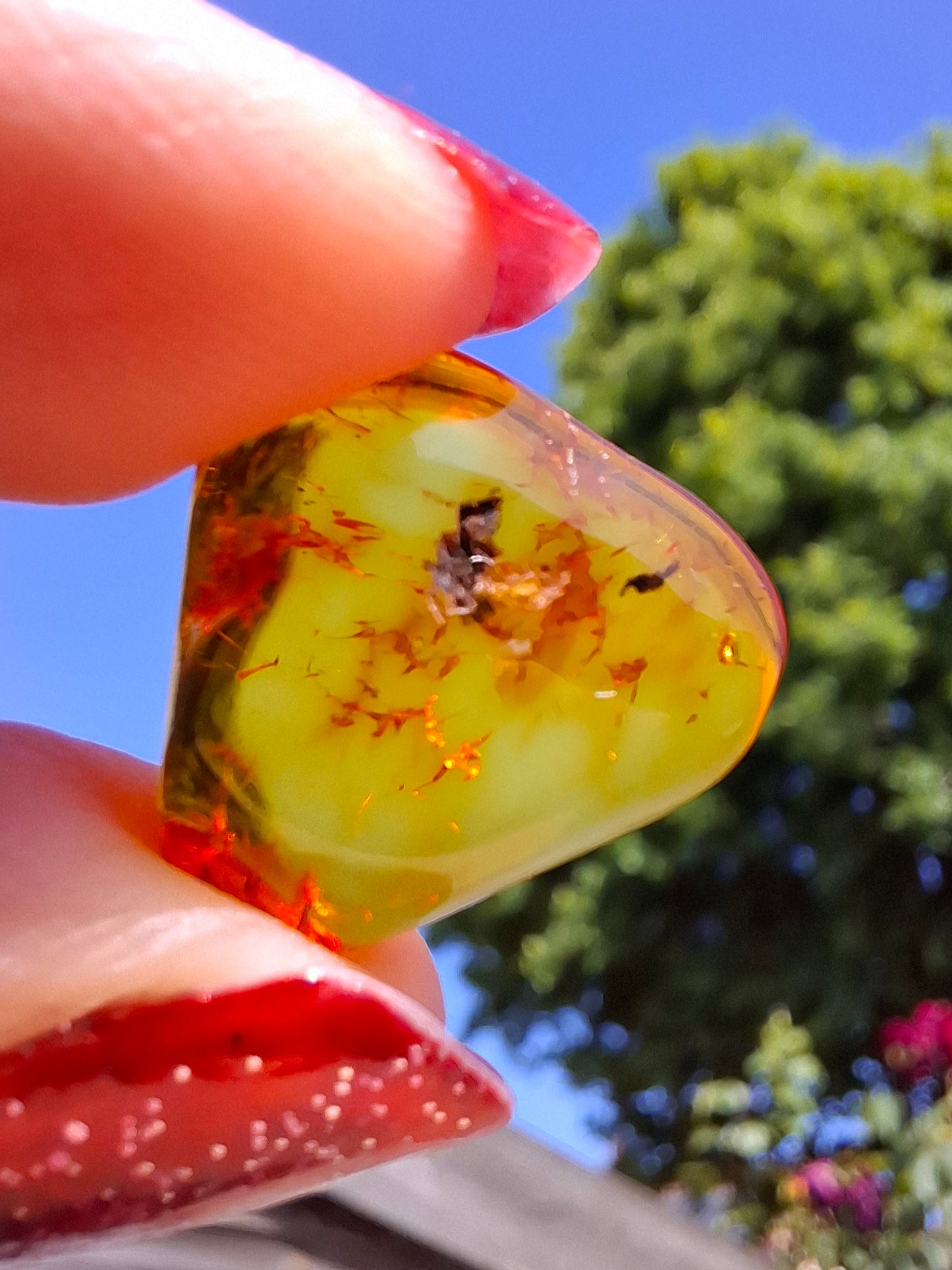 Baltic Amber, 0.97g, Fossil (Ref: A249)