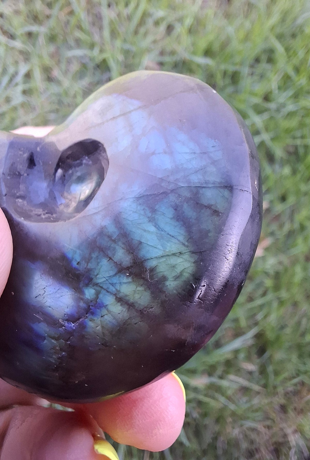 Labradorite Ammonite carving, 96.88g, Crystal (Ref: laba1)
