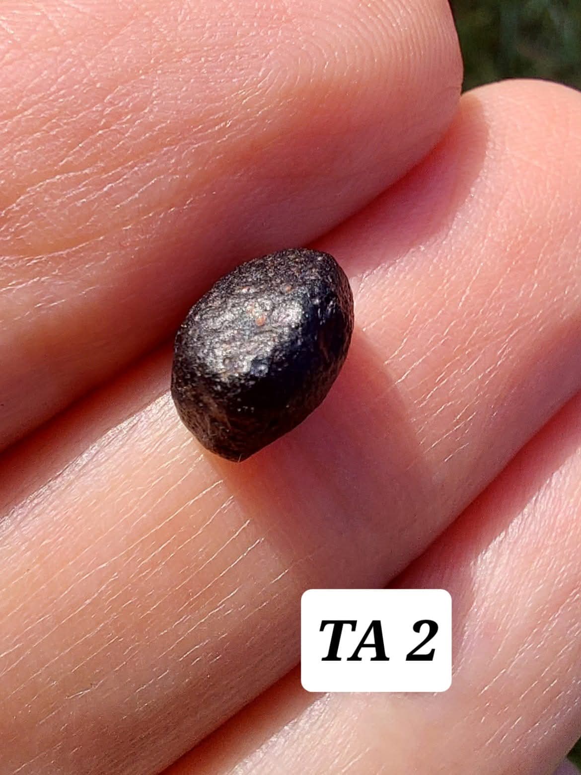 Atacamite, 0.43g, Tektite (Ref: TA2)