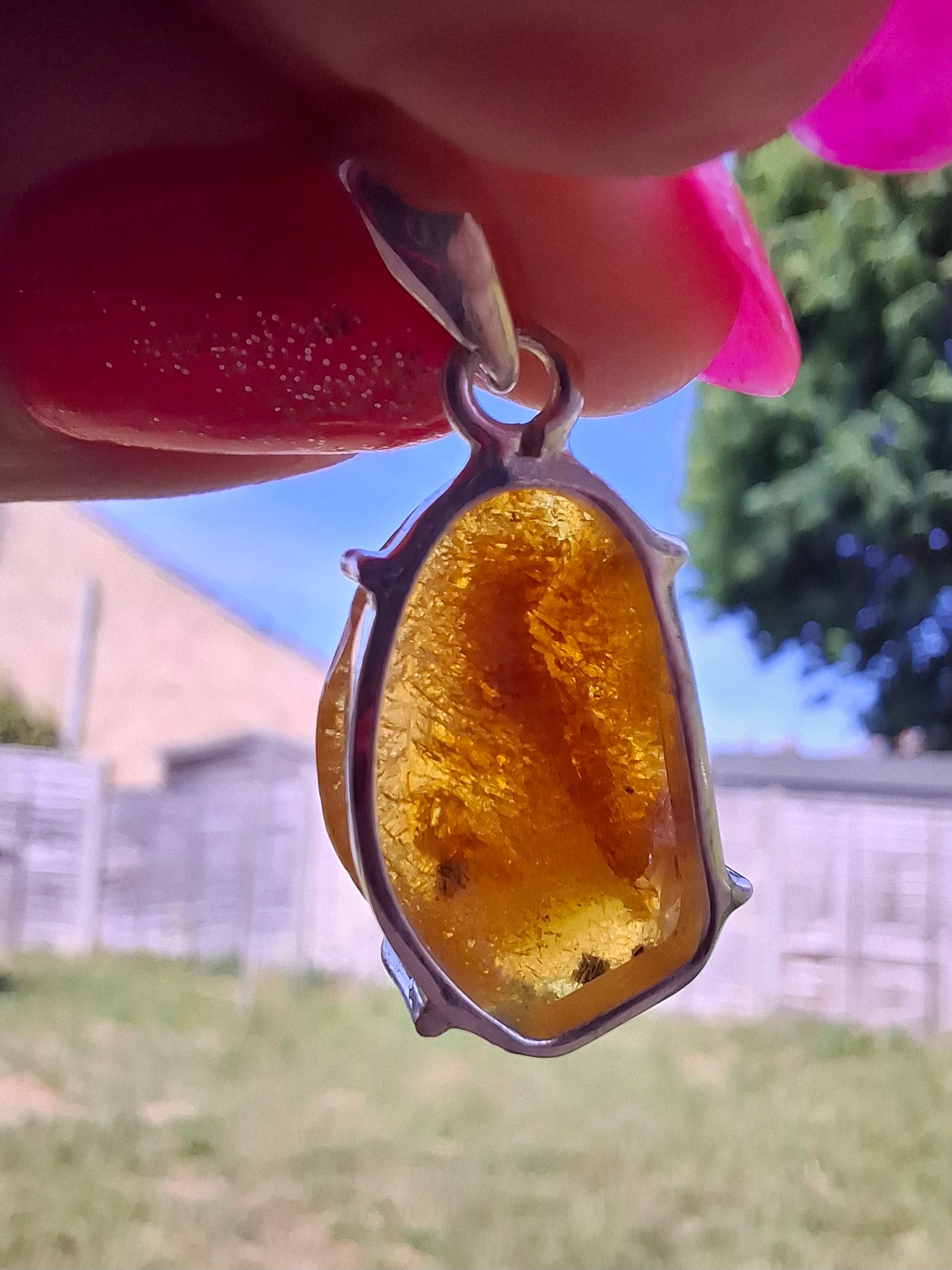Baltic Amber Pendant, 925 Silver, Fossil (Ref: AP11)