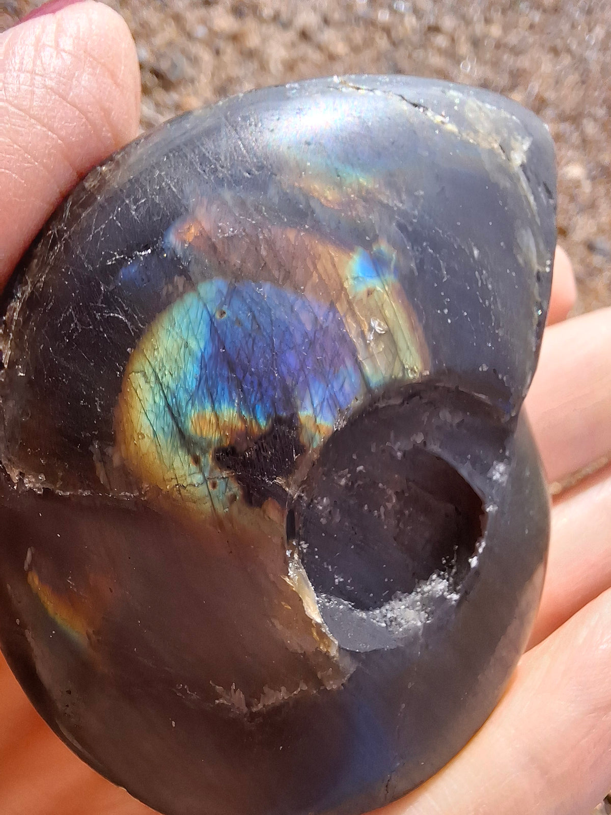 Labradorite Ammonite Carving, 89.31g, Crystal (Ref: laba6)