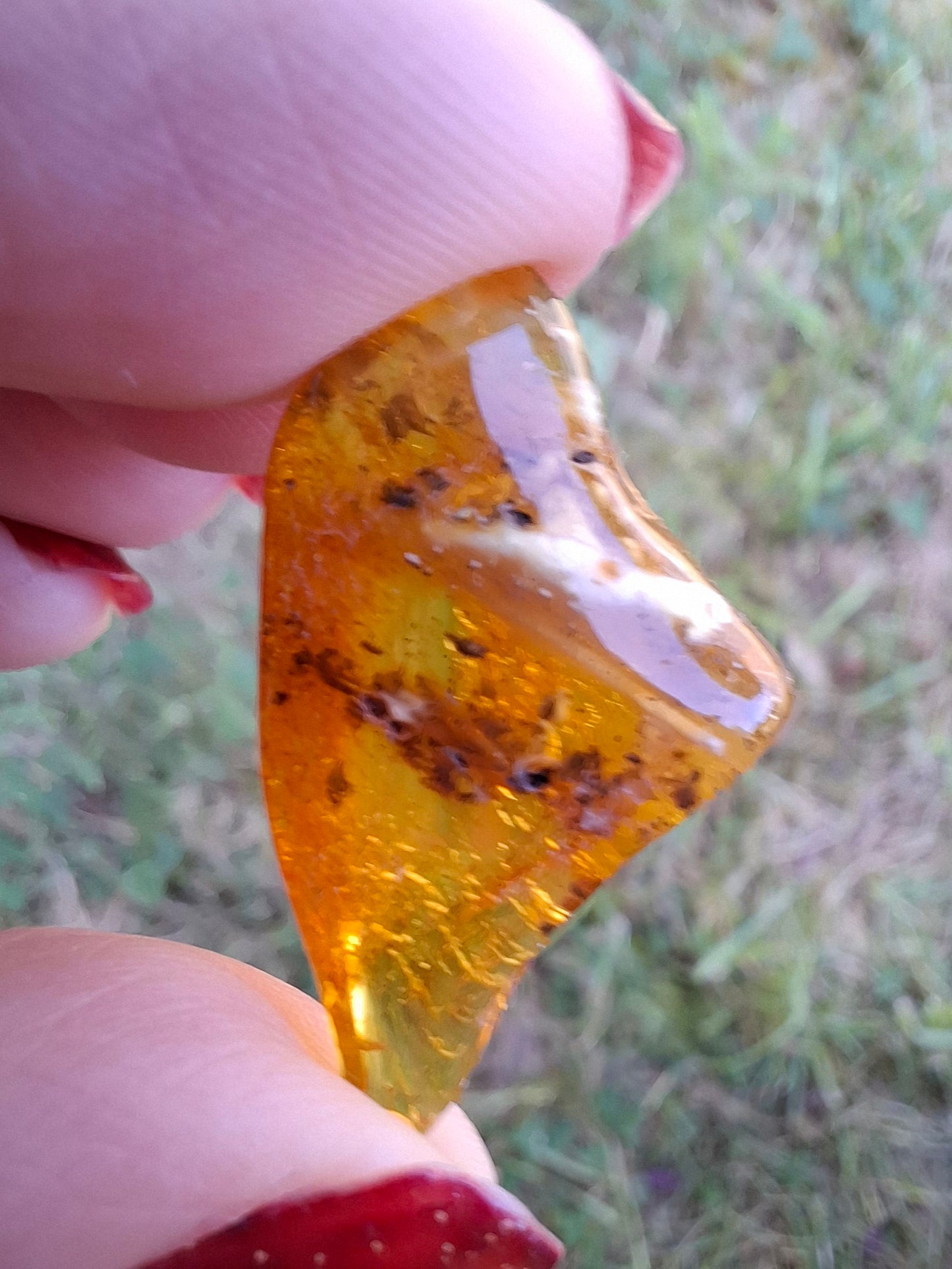 Baltic Amber, 1.25g, Fossil (Ref: A188)