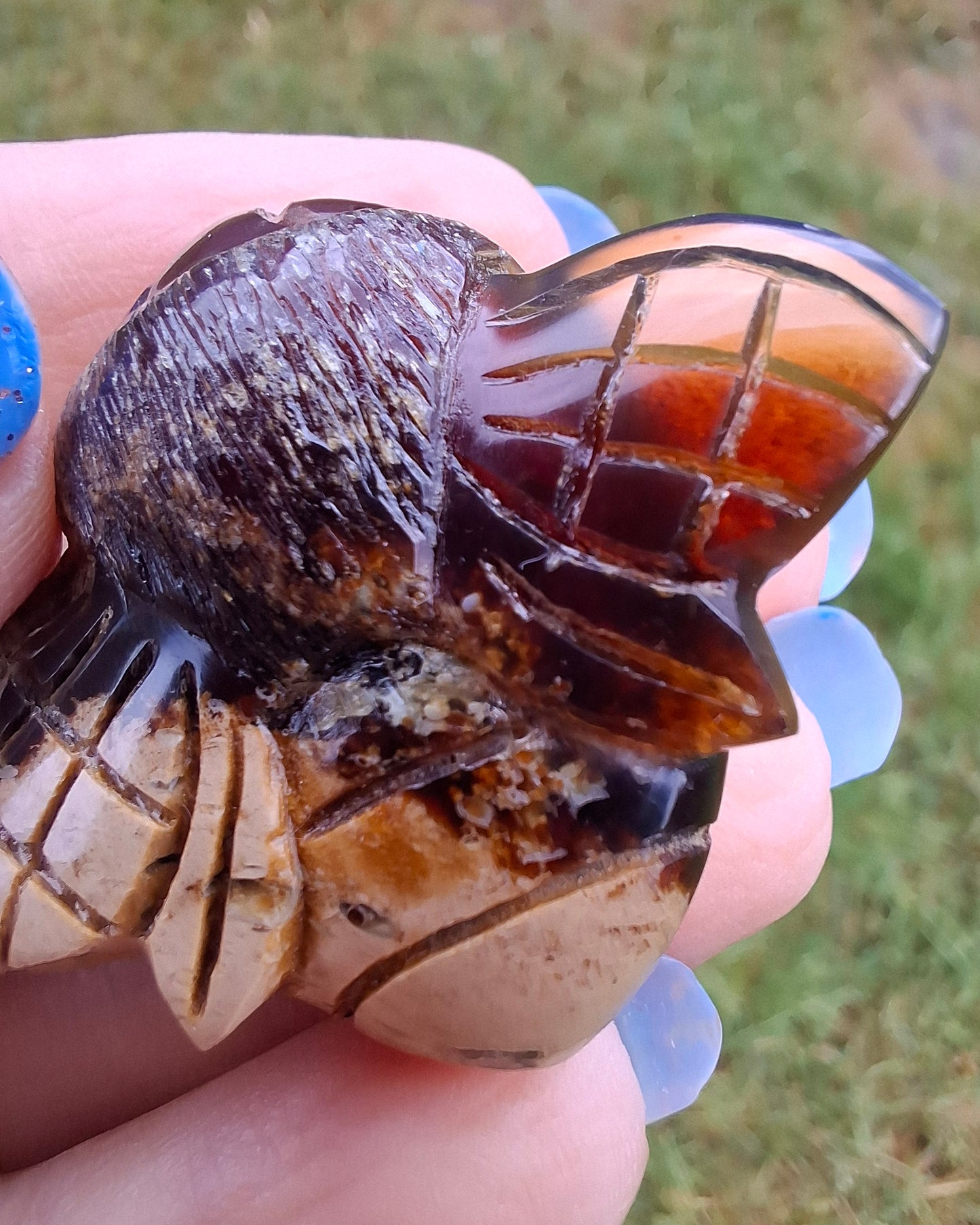 Red Amber Honey Bee Carving, 7.00g, Fossil (Ref: Bee31)