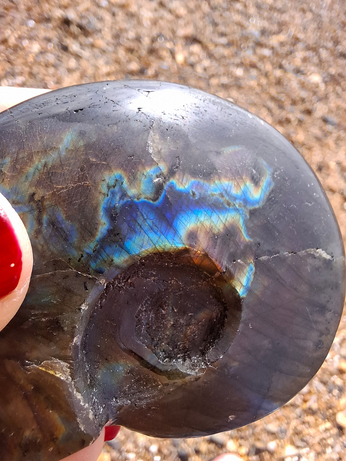Labradorite Ammonite Carving, 89.31g, Crystal (Ref: laba6)
