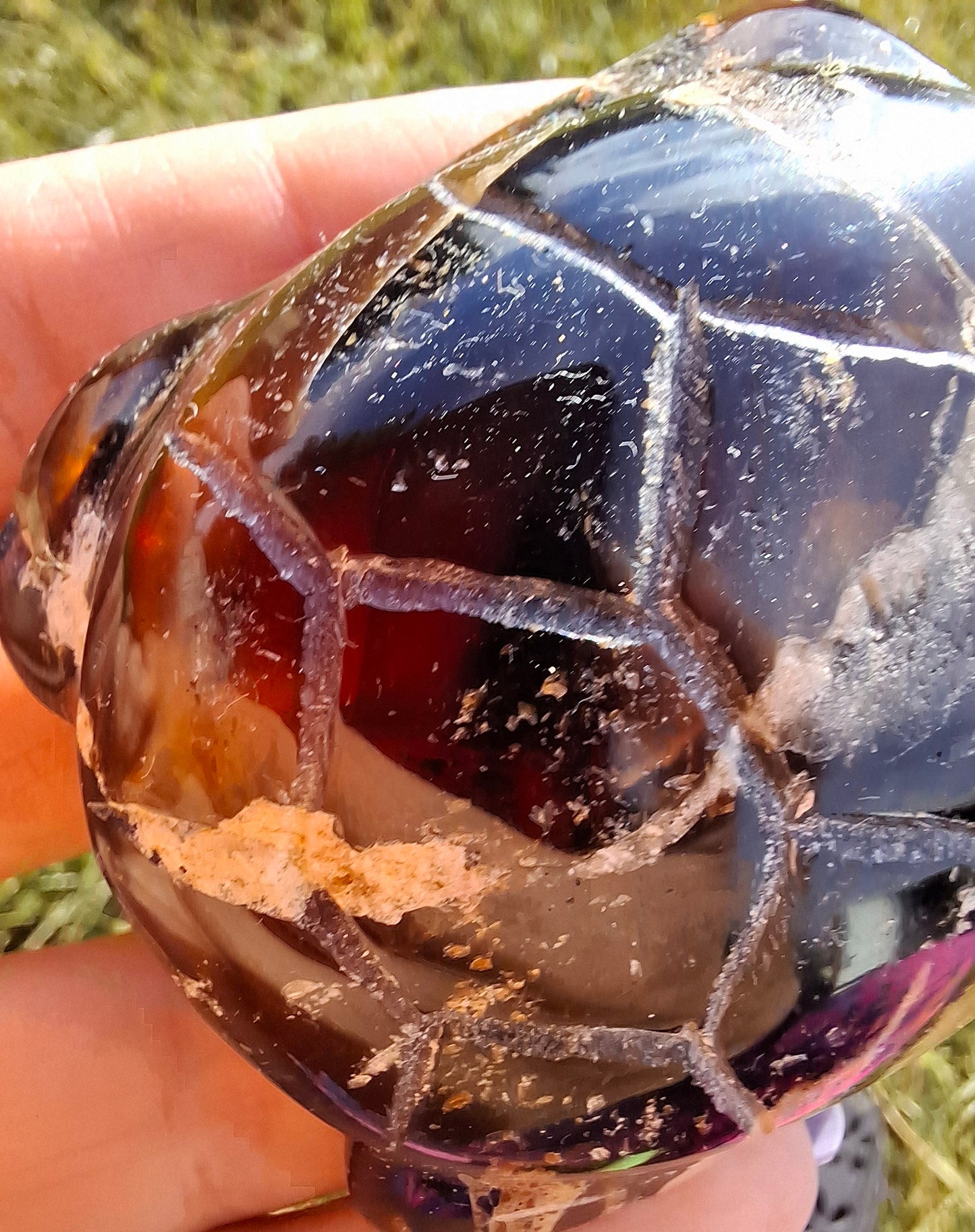 Red Amber Turtle, 50.00g, Carving, Fossil (Ref: TT6)
