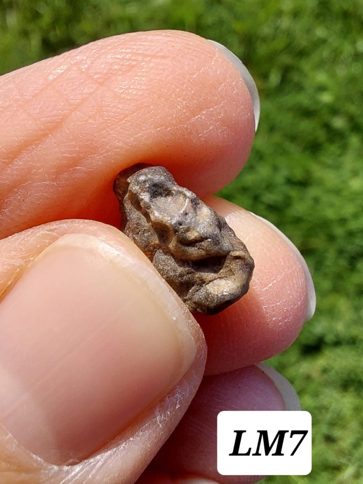Lunar Meteorite, 0.83g, 'Moon Rock' (Ref: LM7)