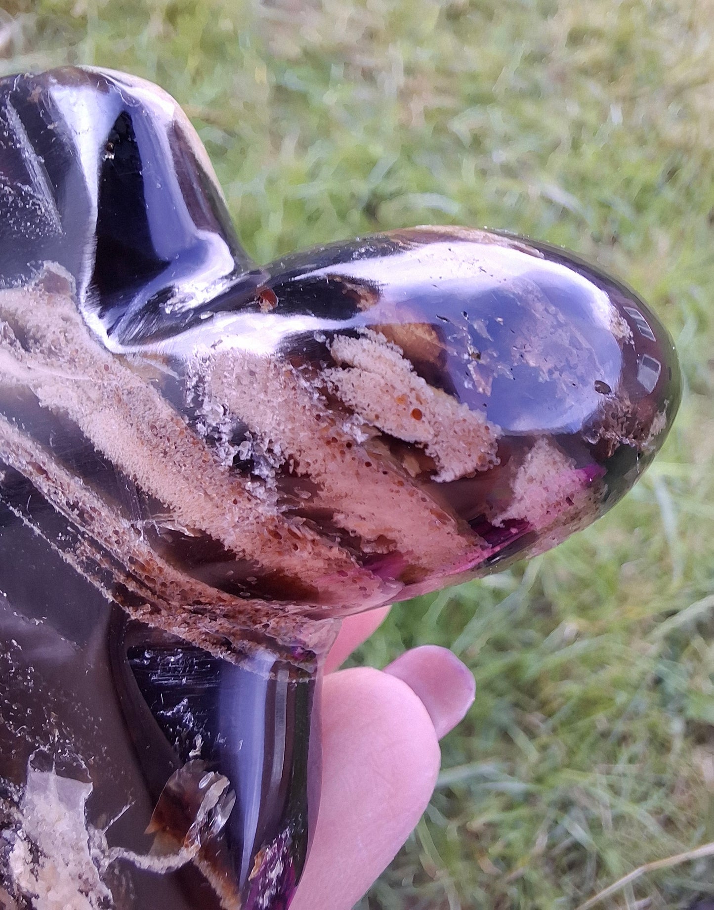 Red Amber Turtle, 50.00g, Carving, Fossil (Ref: TT6)