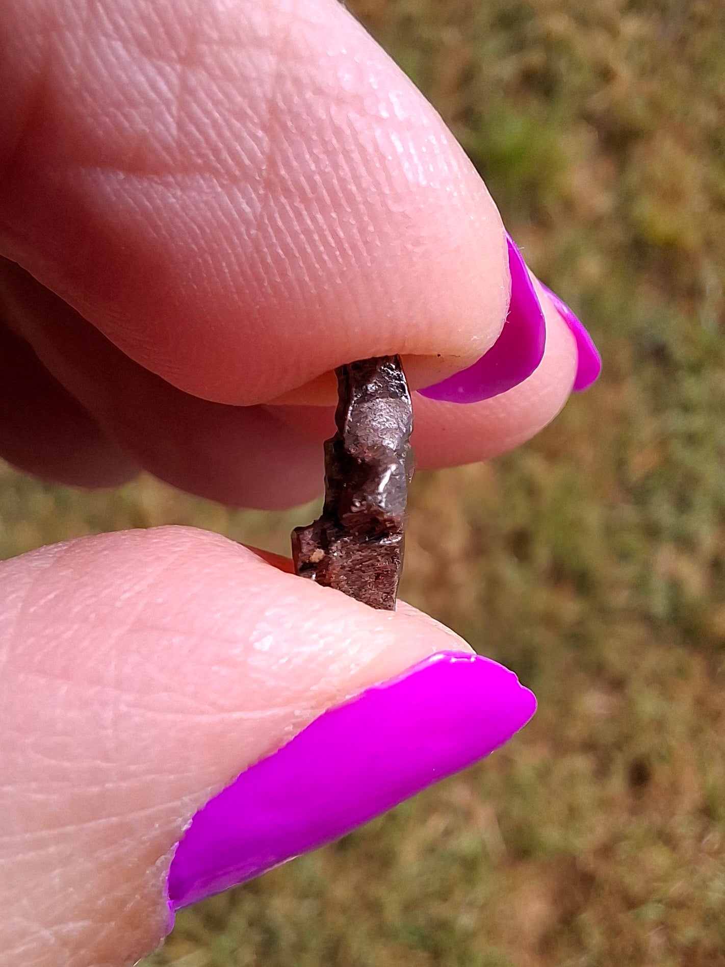 Campo del Cielo, 0.95g, Nickel Iron Meteorite (Ref: C2)