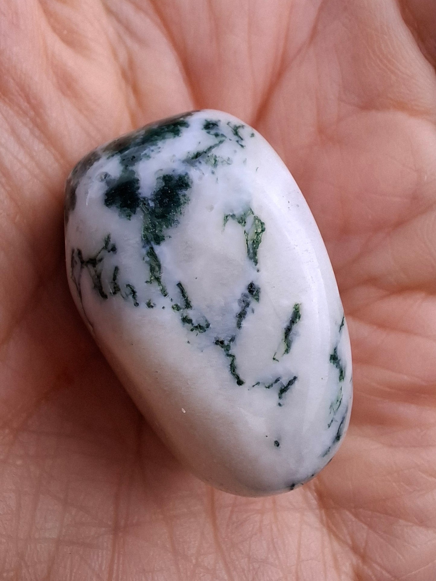 Tree Agate, Tumble Stone, Crystal (Ref: T1)