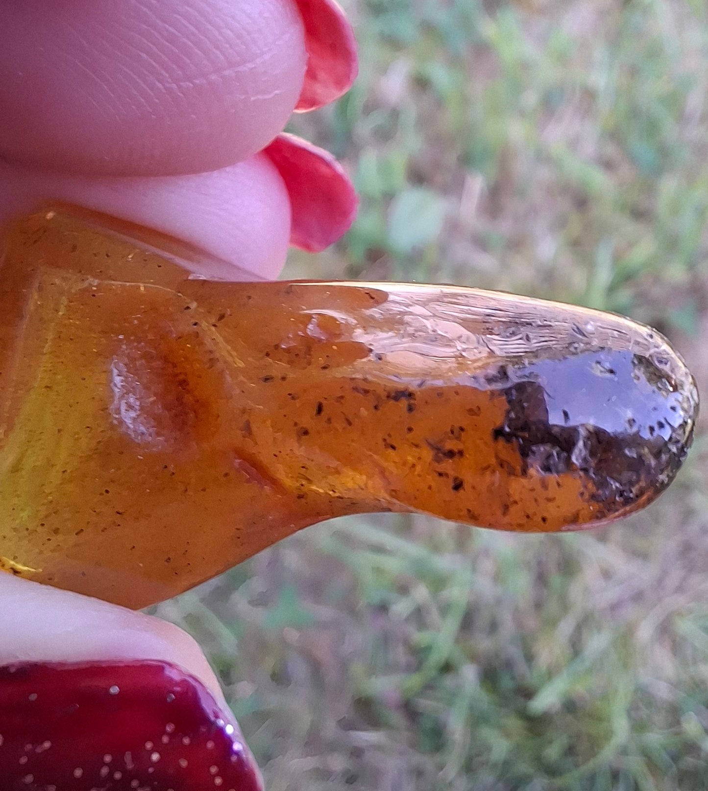 Baltic Amber, 3.17g, Fossil (Ref: A156)