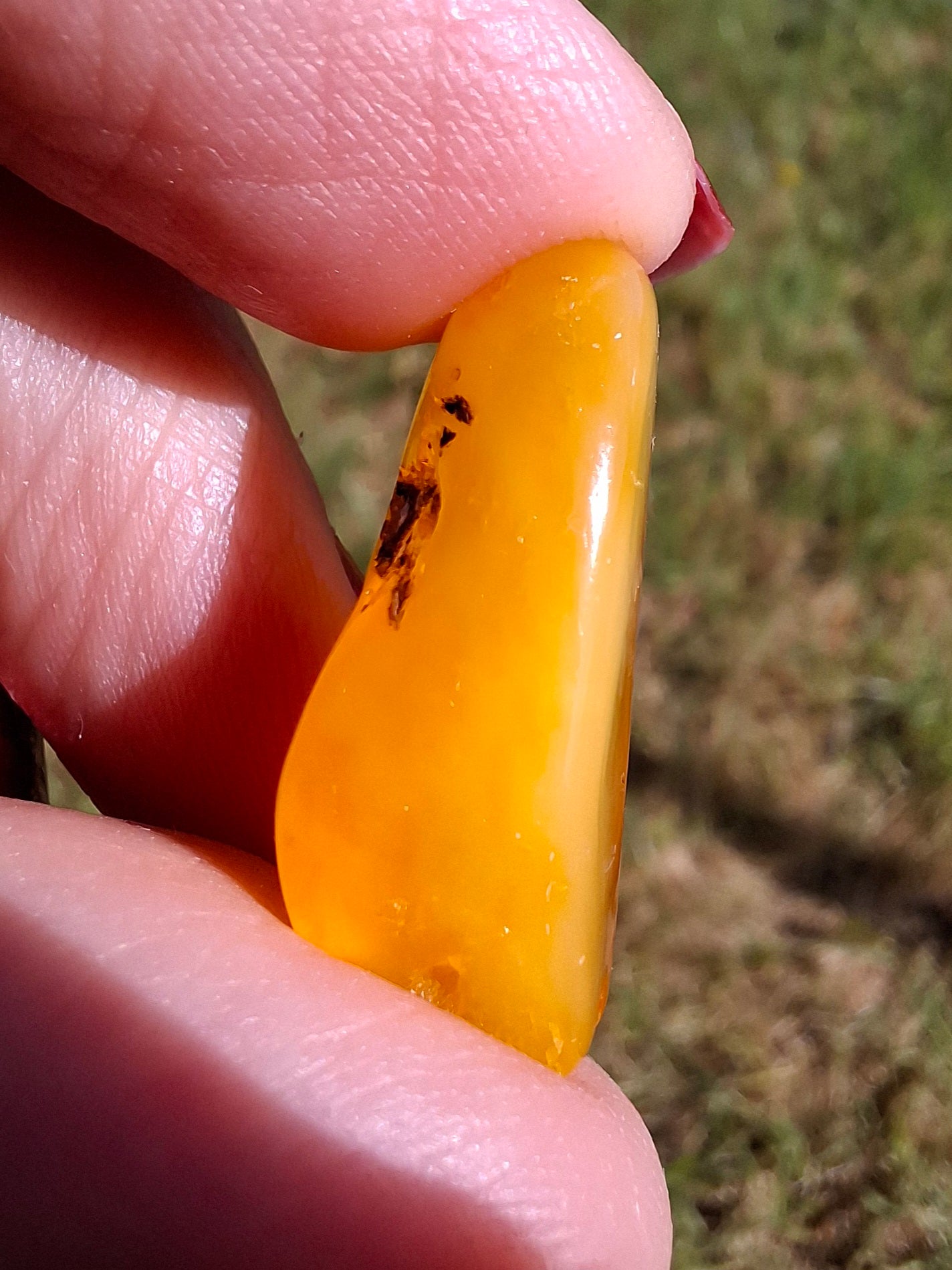 Baltic Amber, 1.74g, Fossil (Ref: A228)