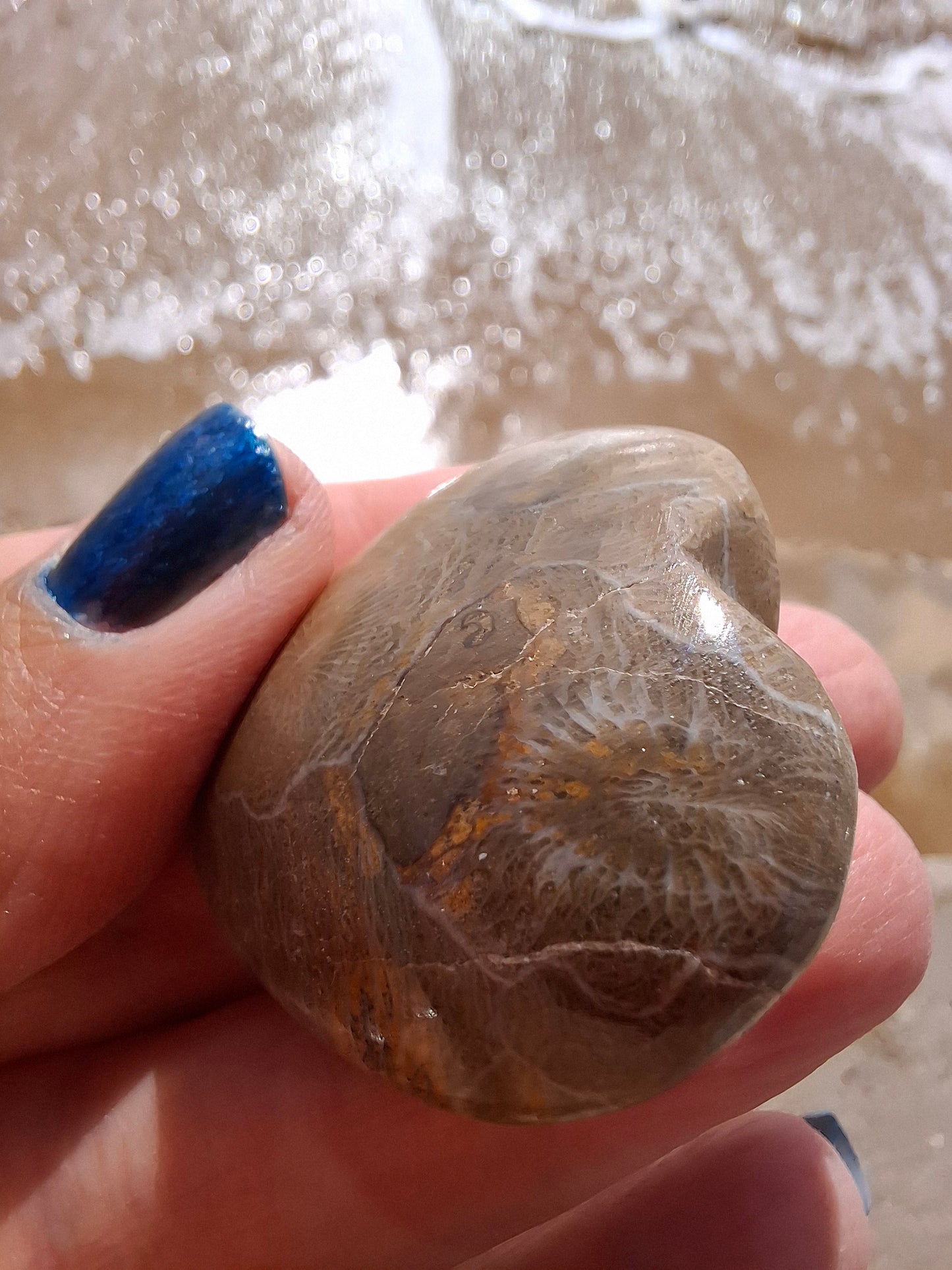 Fossil Coral Heart, (Ref:CoH1)