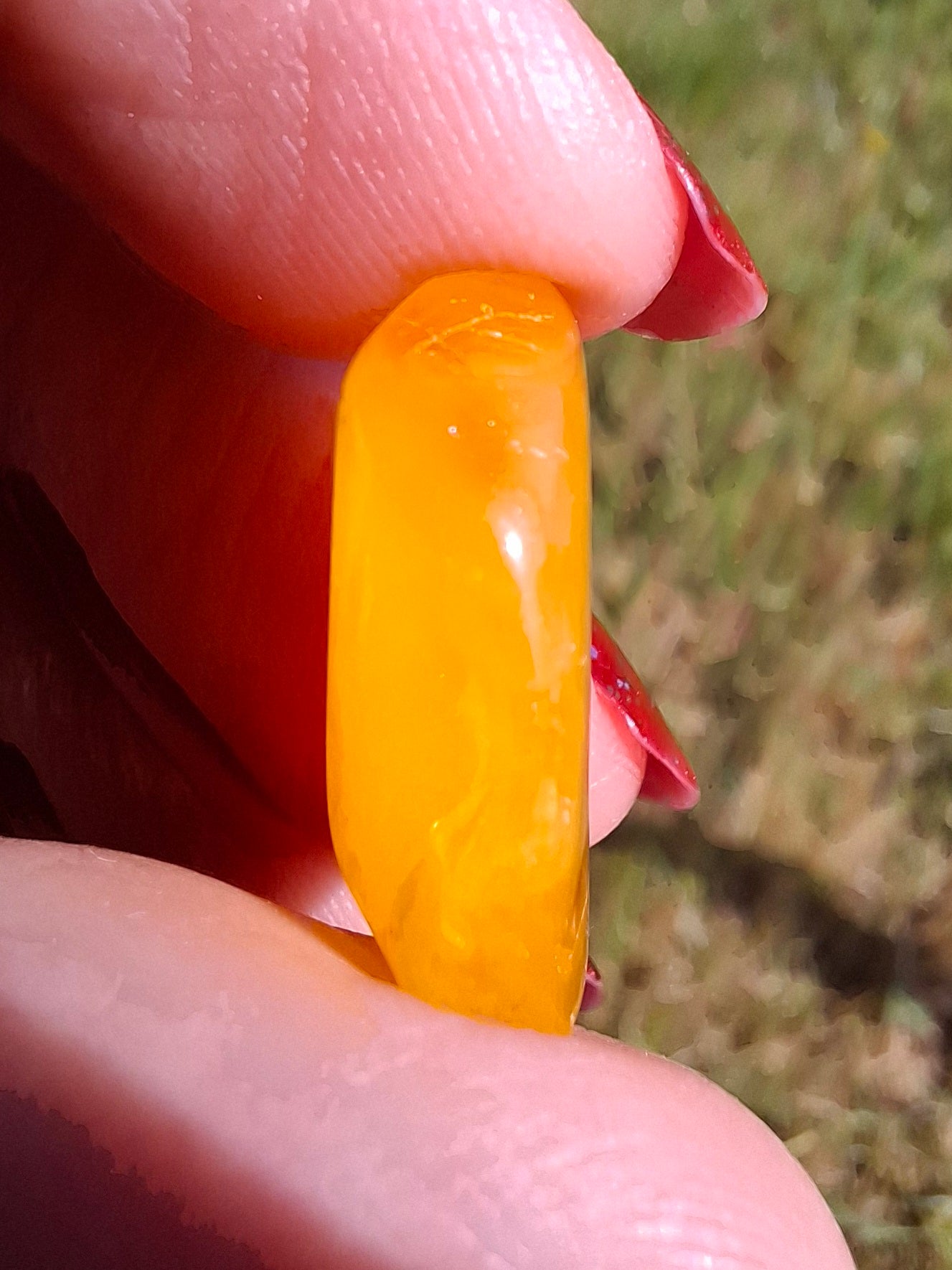 Baltic Amber, 1.20g, Fossil (Ref: A129)