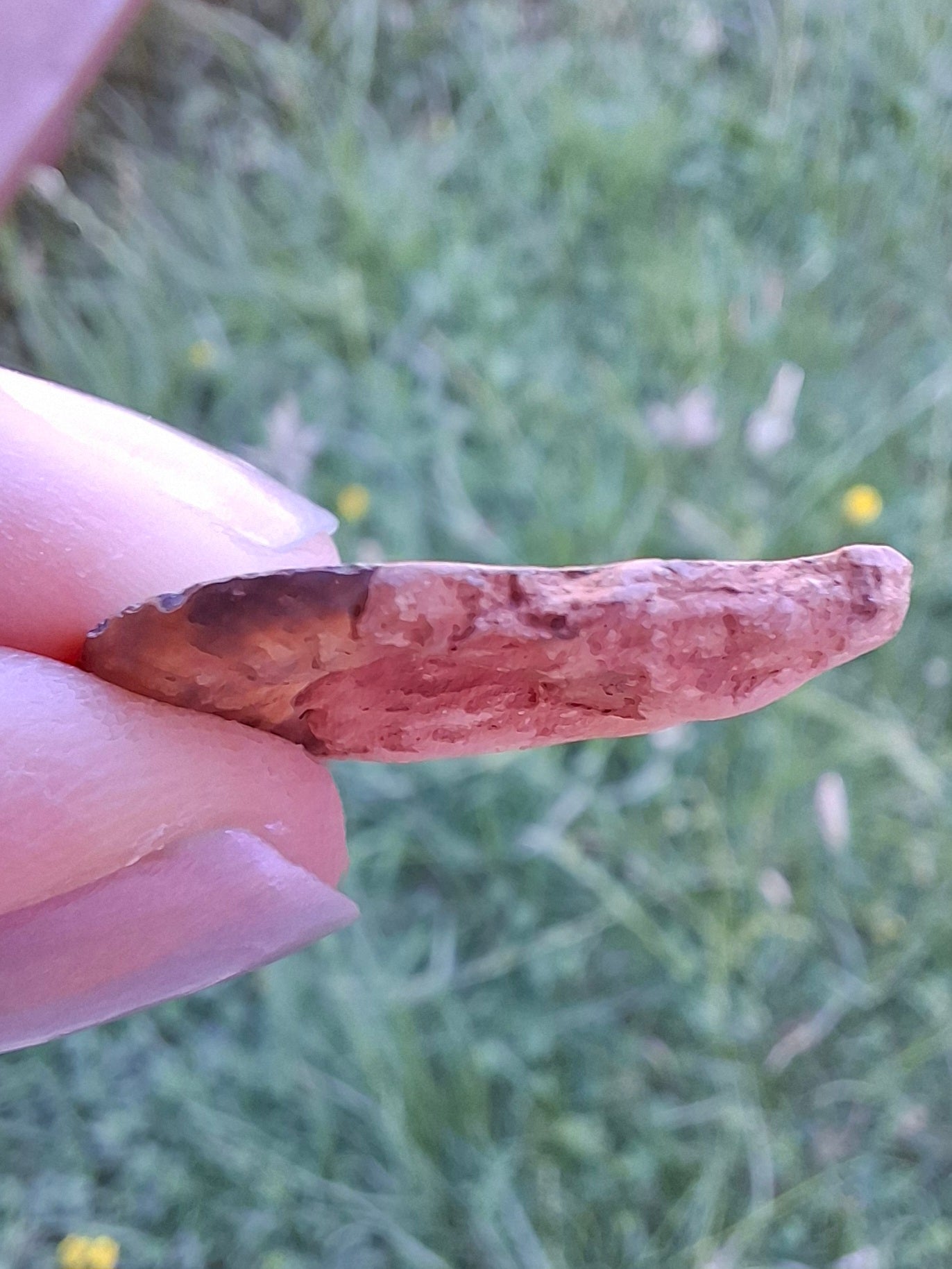 Small Haematite Ammonite HALF, 2.24g, Fossil (Ref: MA10)