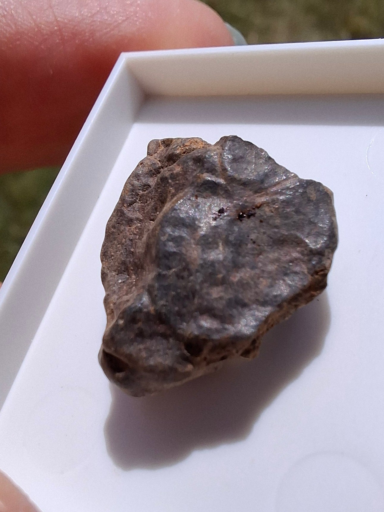 Chondrite, Meteorite (Ref: CM10)