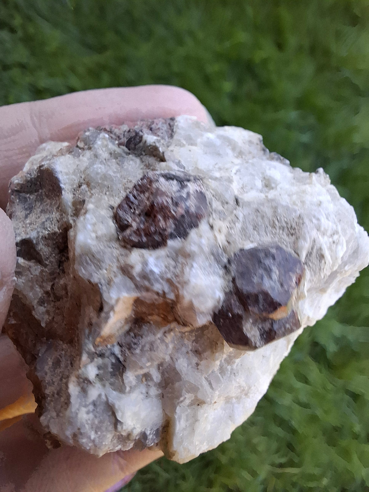 (Dig your own) Garnet in Matrix, Crystal (Ref: RG6)