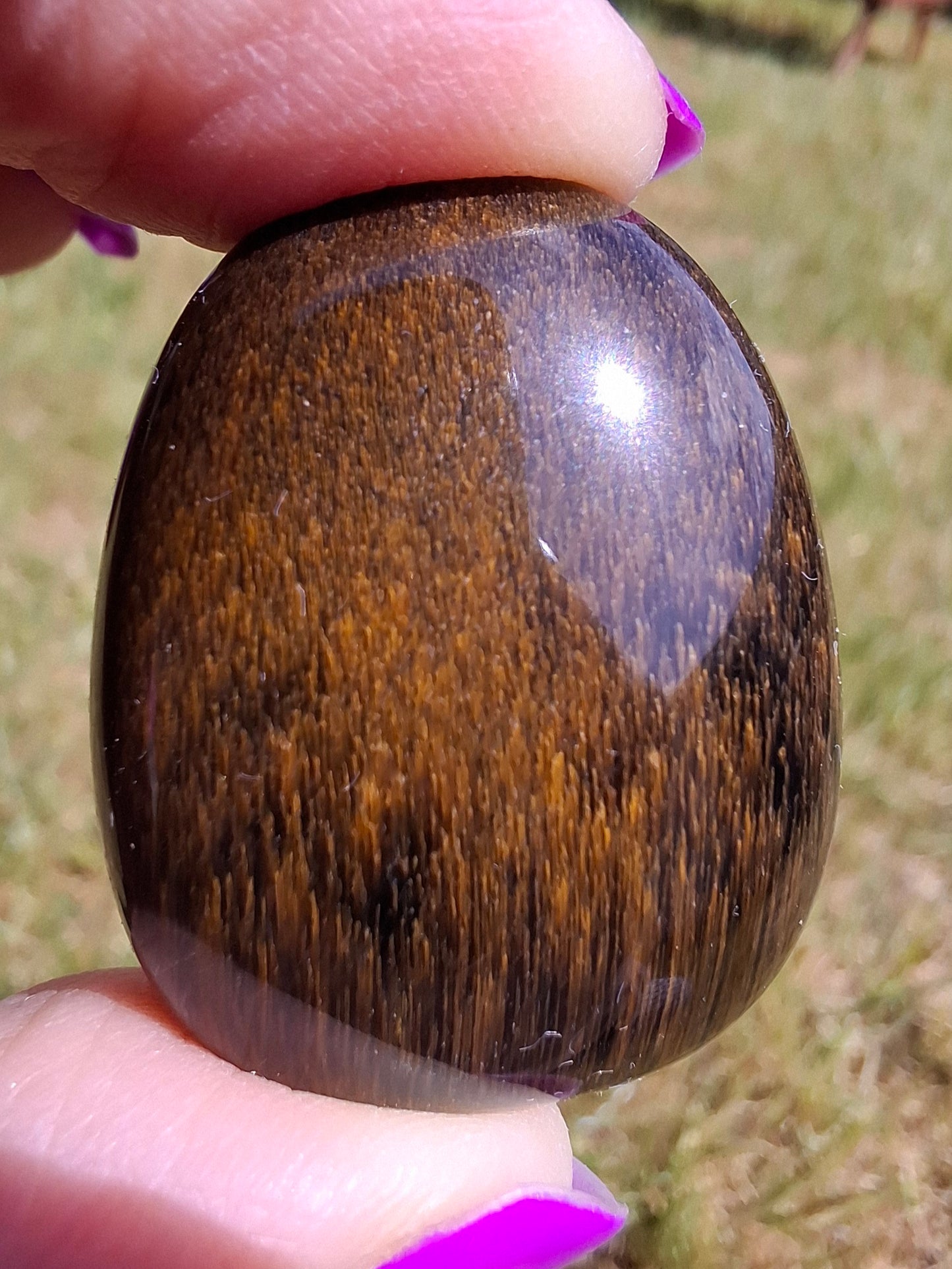 Blue Tigers Eye, Tumble Stone, Crystal (Ref: T19)