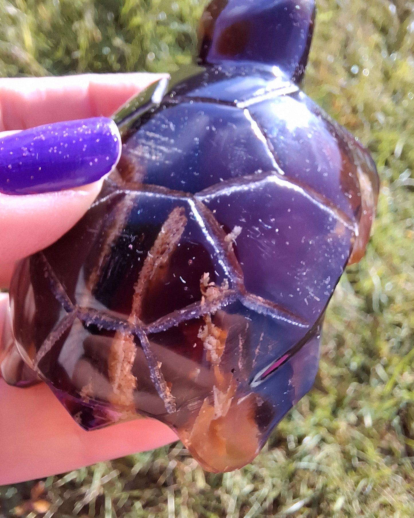 Red Amber Turtle, 52.00g, Carving, Fossil (Ref: TT3)