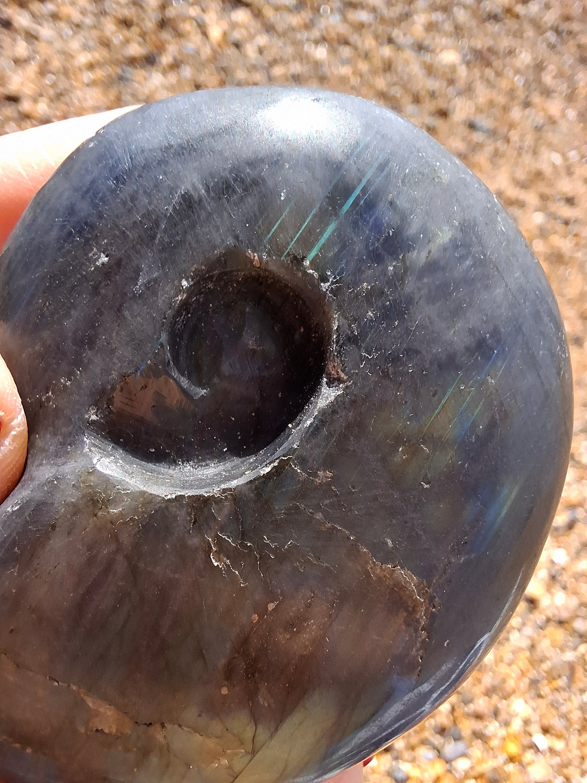 Labradorite Ammonite Carving, 111.66g, Crystal (Ref: laba3)