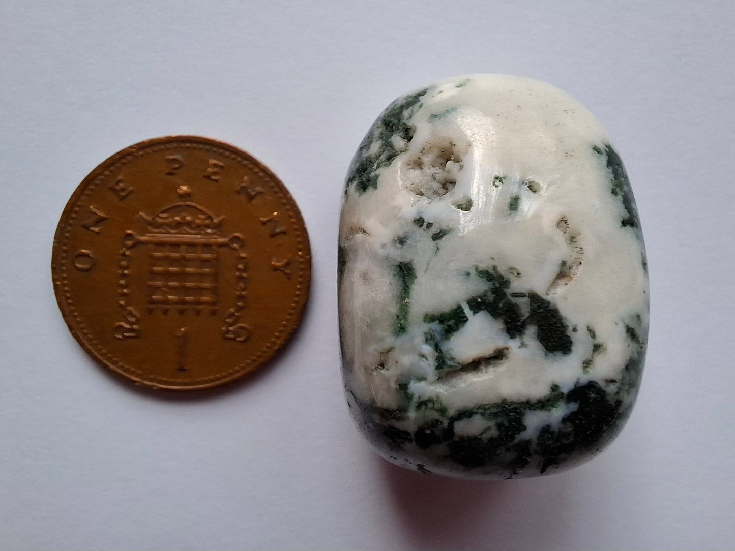 Tree Agate, Tumble Stone, Crystal (Ref: T5)