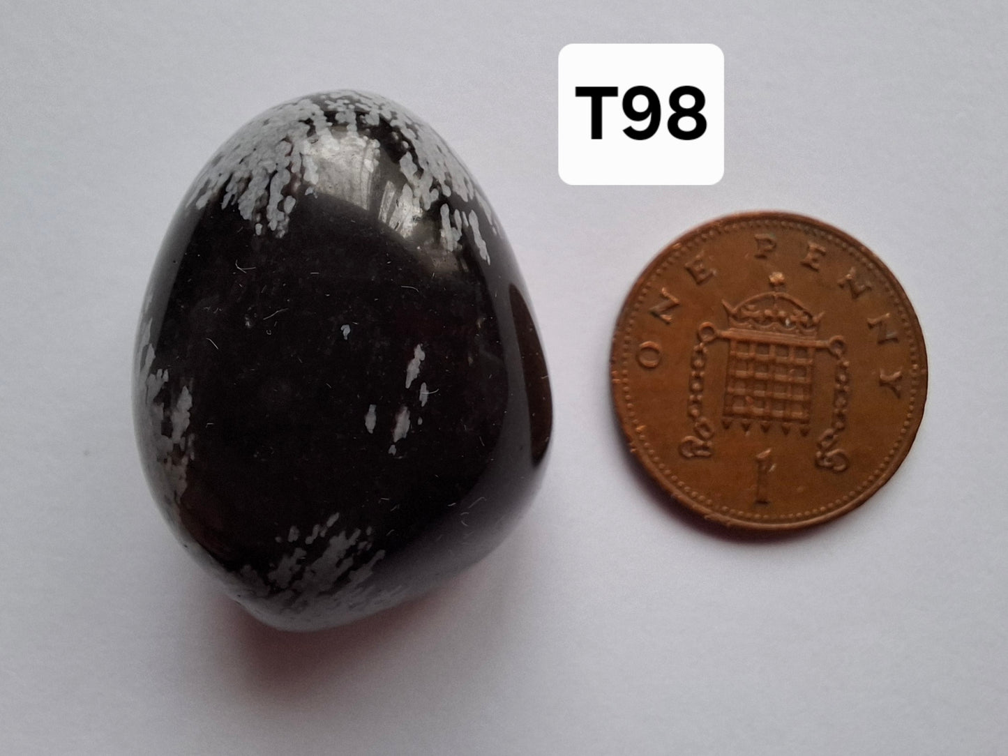 Snowflake Obsidian, Tumble Stone, Crystal (Ref: T98)