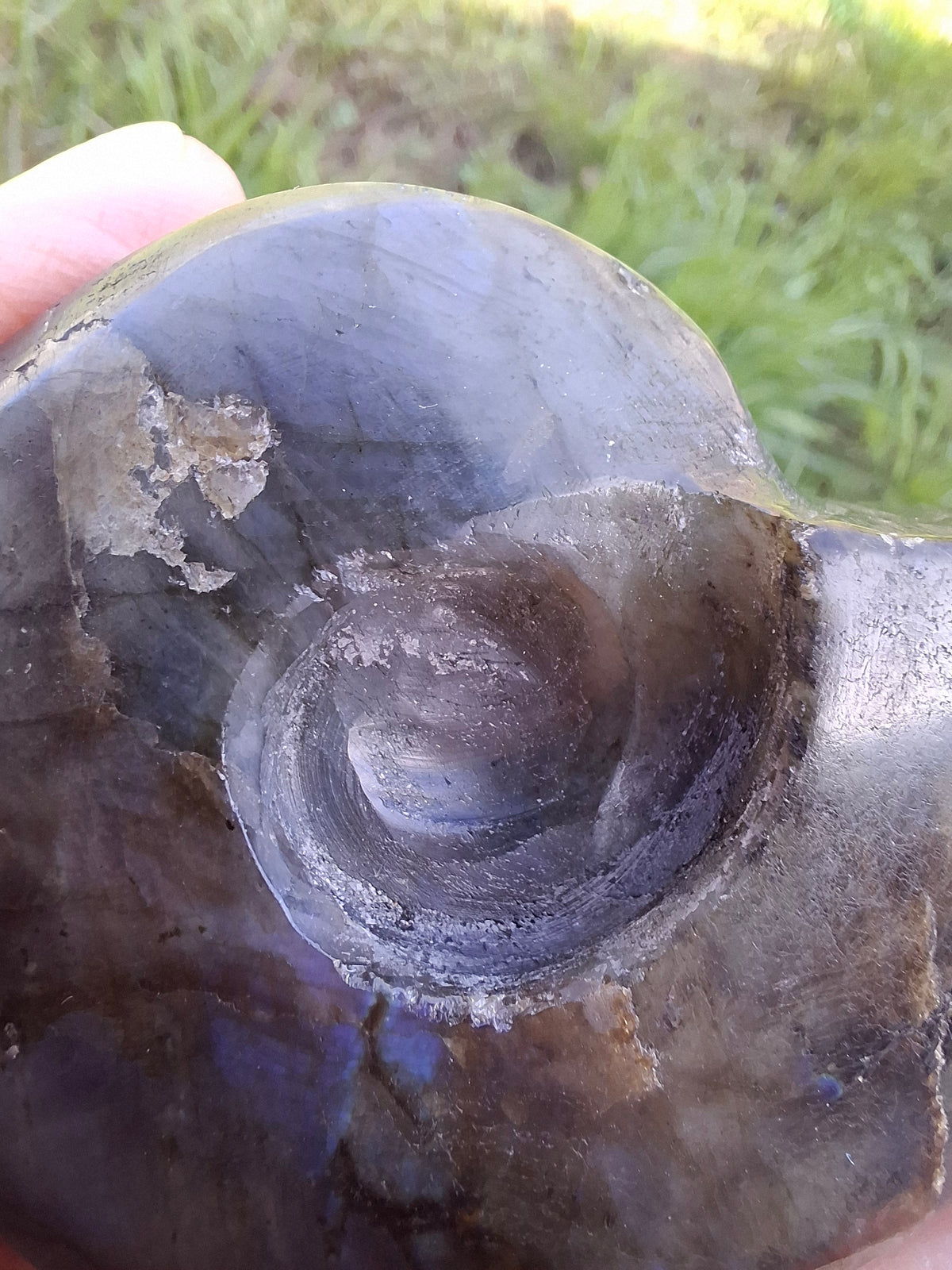 Labradorite Ammonite Carving, 146.90g, Crystal (Ref: laba5)