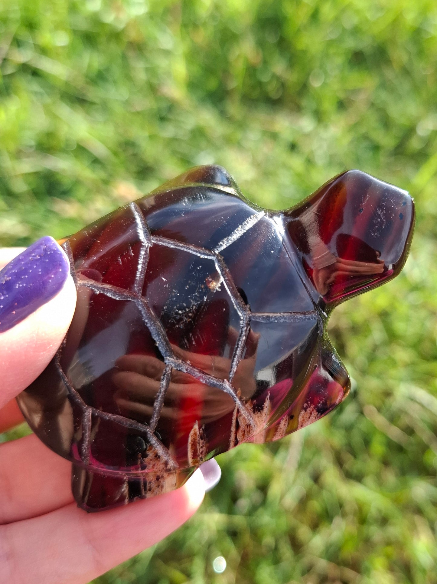 Red Amber Turtle, 47.85g, Carving, Fossil (Ref: TT4)
