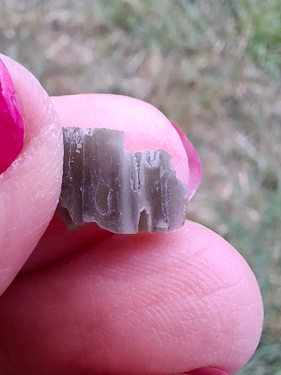 Moldavite Piece, SNOWFLAKE, FROSTED, BRUSNA, Tektite (Ref: 1495)