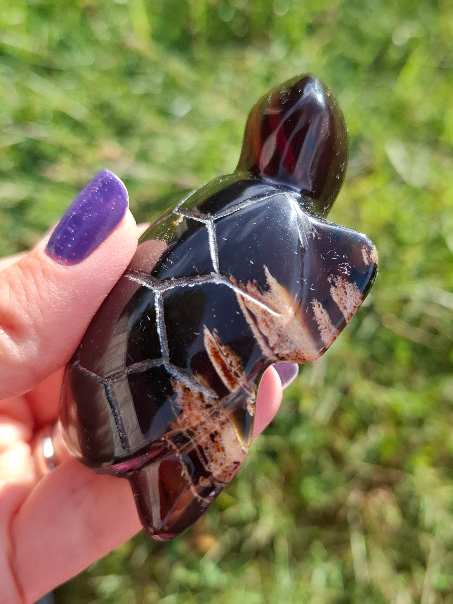 Red Amber Turtle, 47.85g, Carving, Fossil (Ref: TT4)