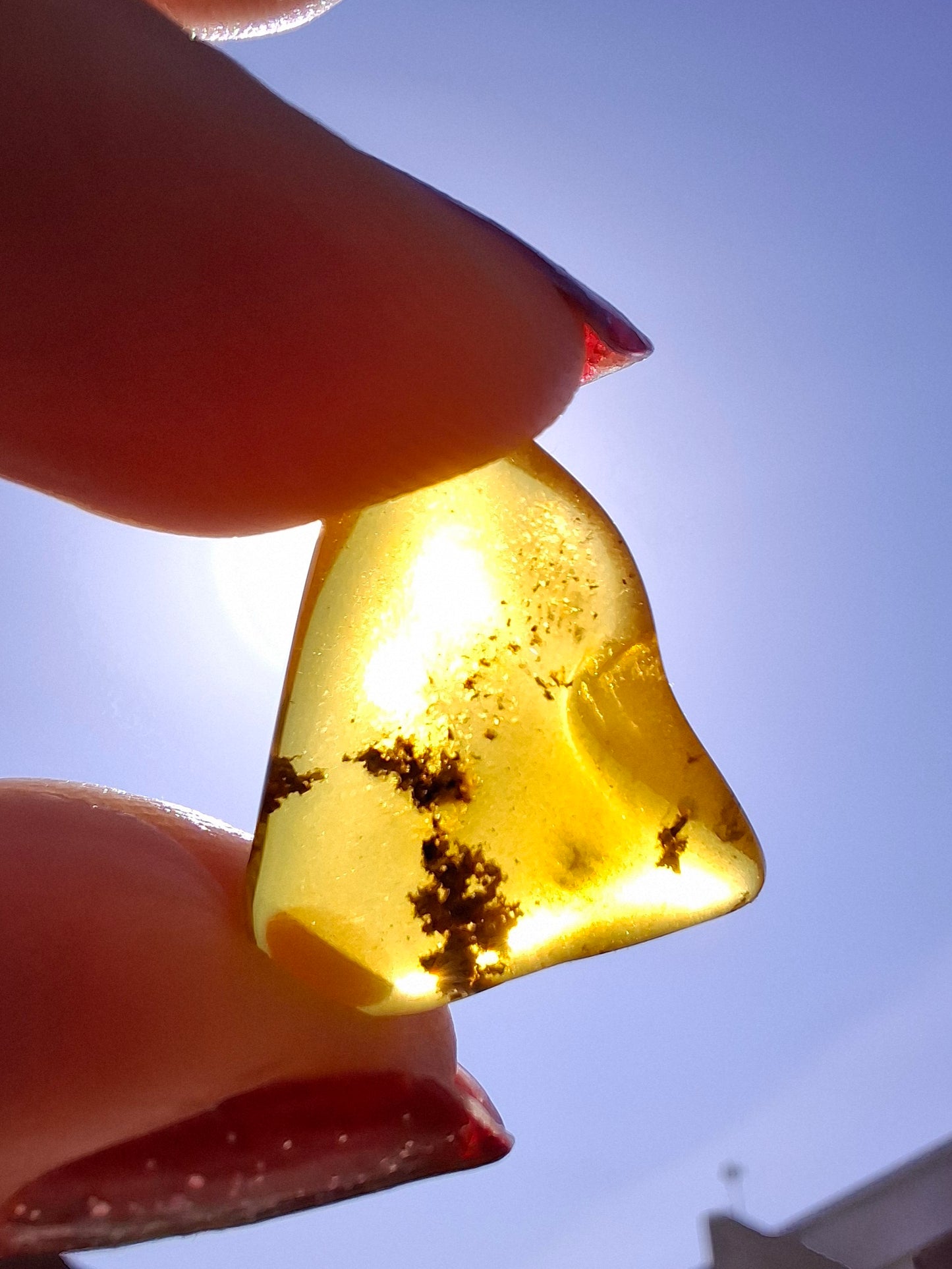 Baltic Amber, 0.91g, Fossil (Ref: A240)
