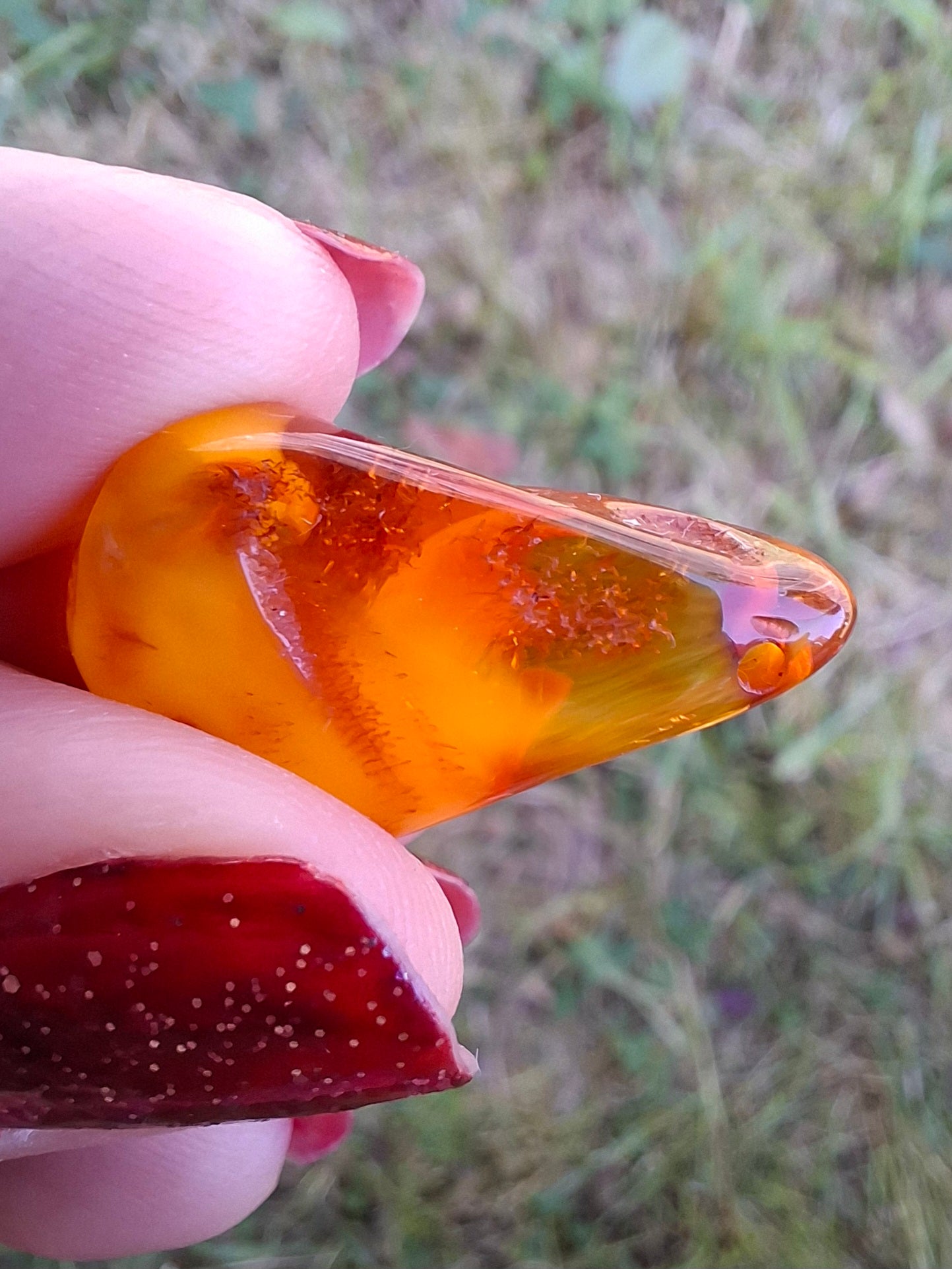 Baltic Amber, 1.52g, Fossil (Ref: A189)