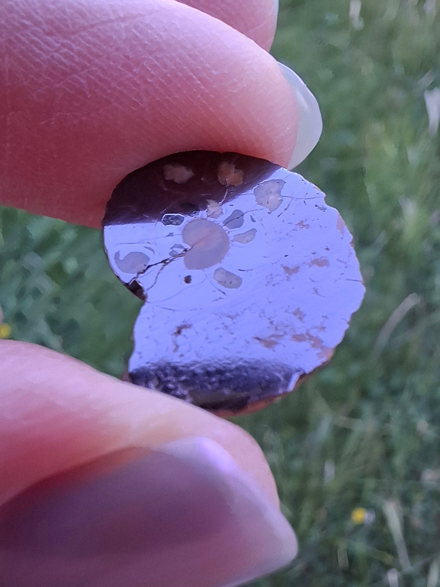 Small Haematite Ammonite HALF, 1.41g, Fossil (Ref: MA6)