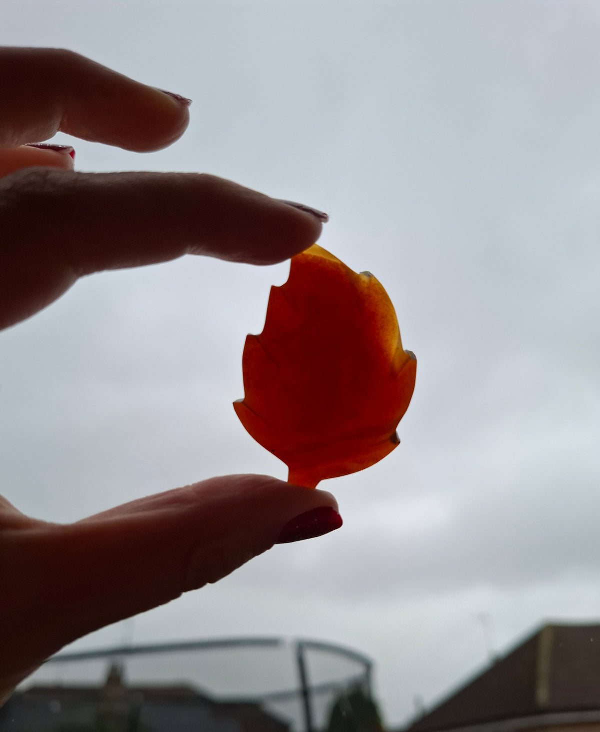 Red Amber Leaf Carving, 7.52g, Fossil (Ref: Leaf6)