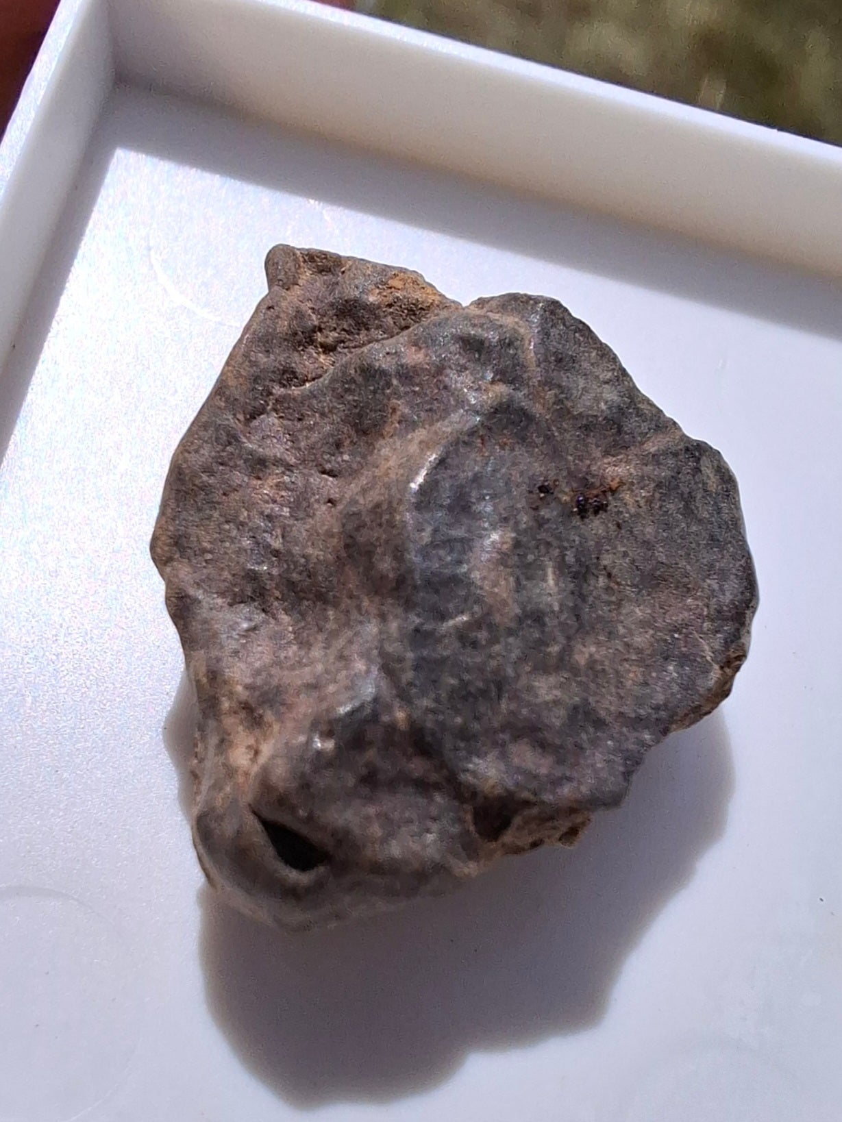 Chondrite, Meteorite (Ref: CM10)