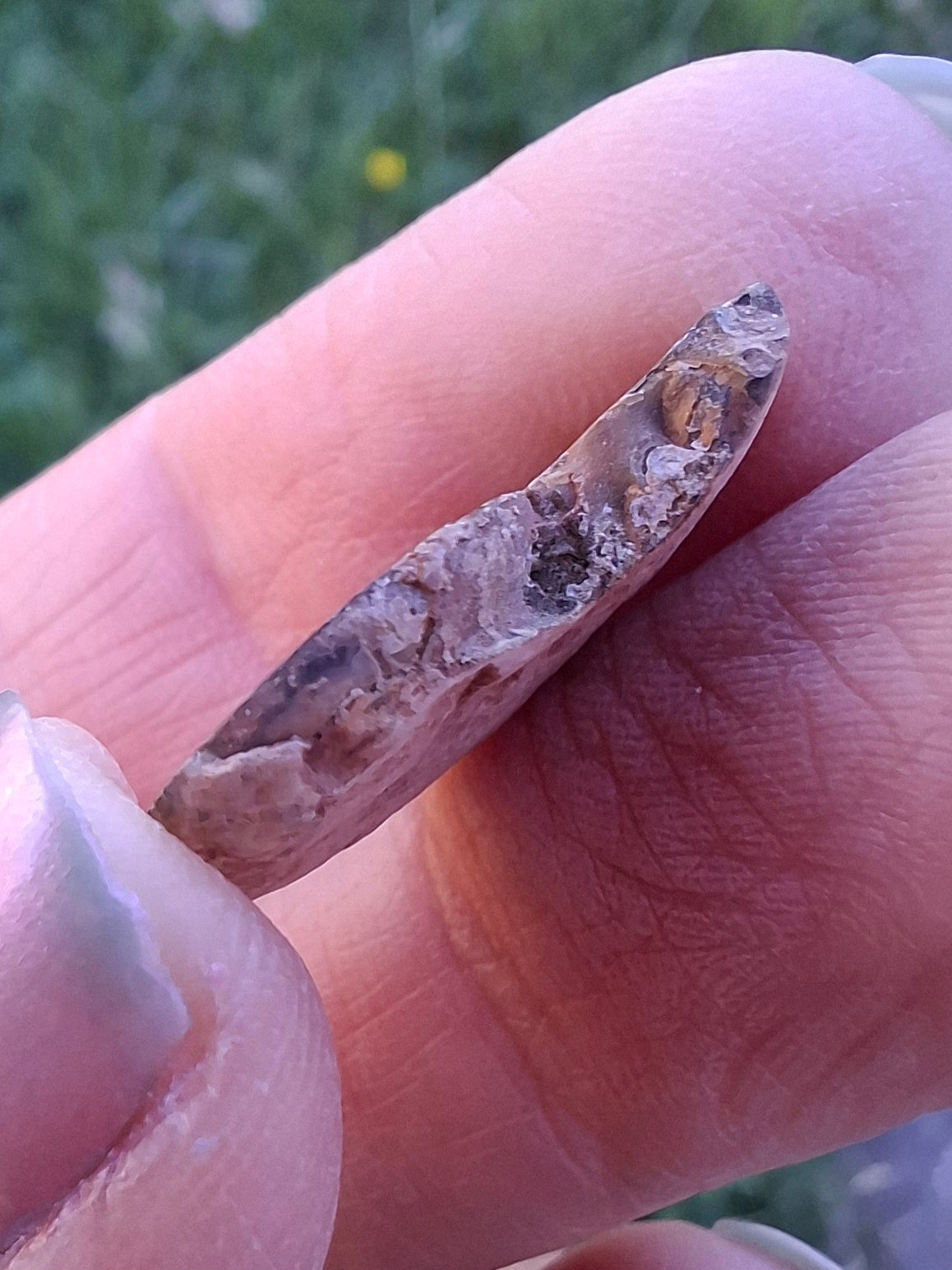 Small Haematite Ammonite HALF, 2.19g, Fossil (Ref: MA3)