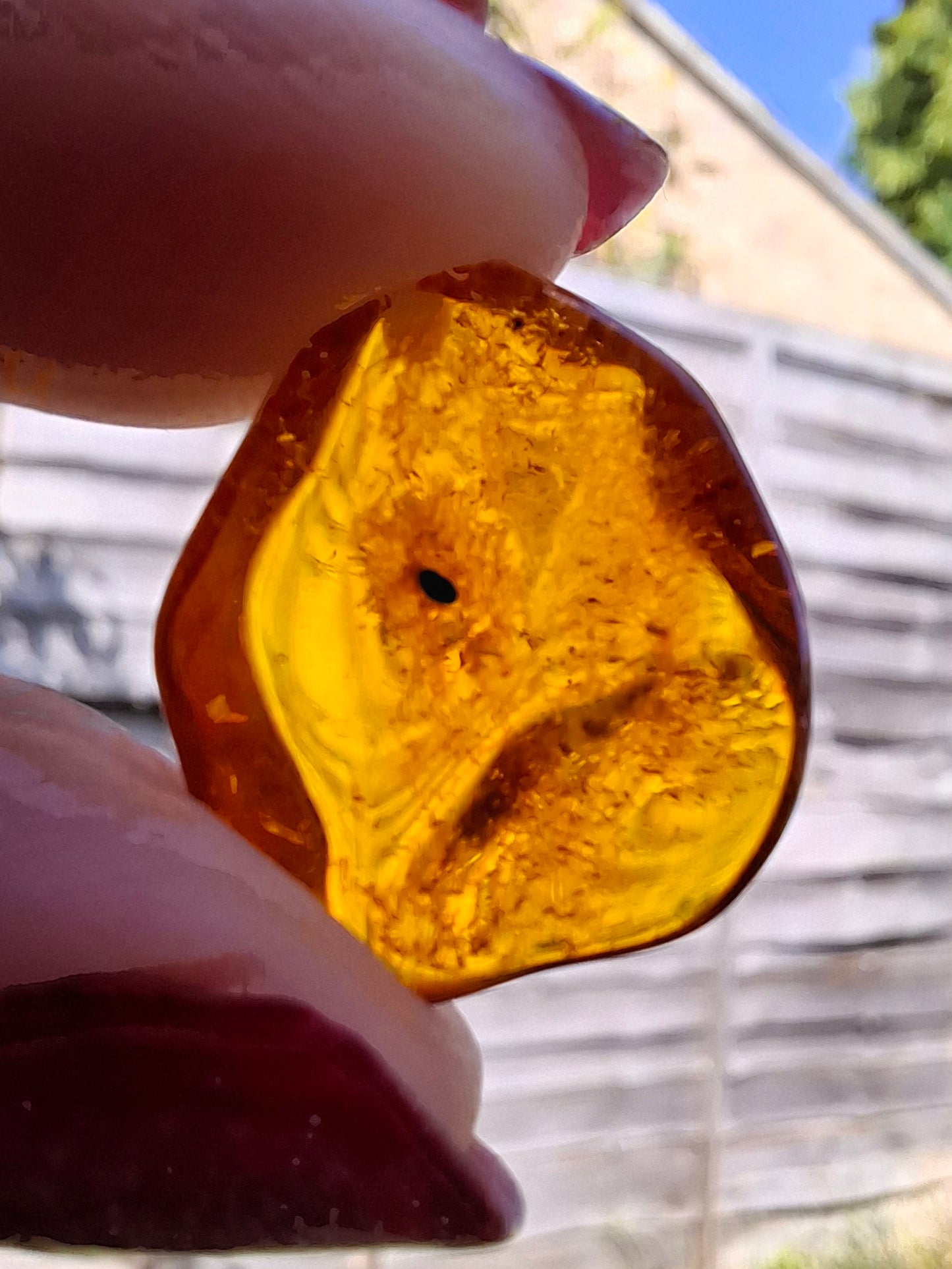 Baltic Amber, 1.12g, Fossil (Ref: A111)