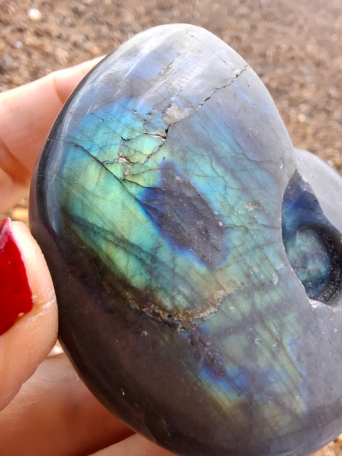 Labradorite Ammonite Carving, 111.66g, Crystal (Ref: laba3)