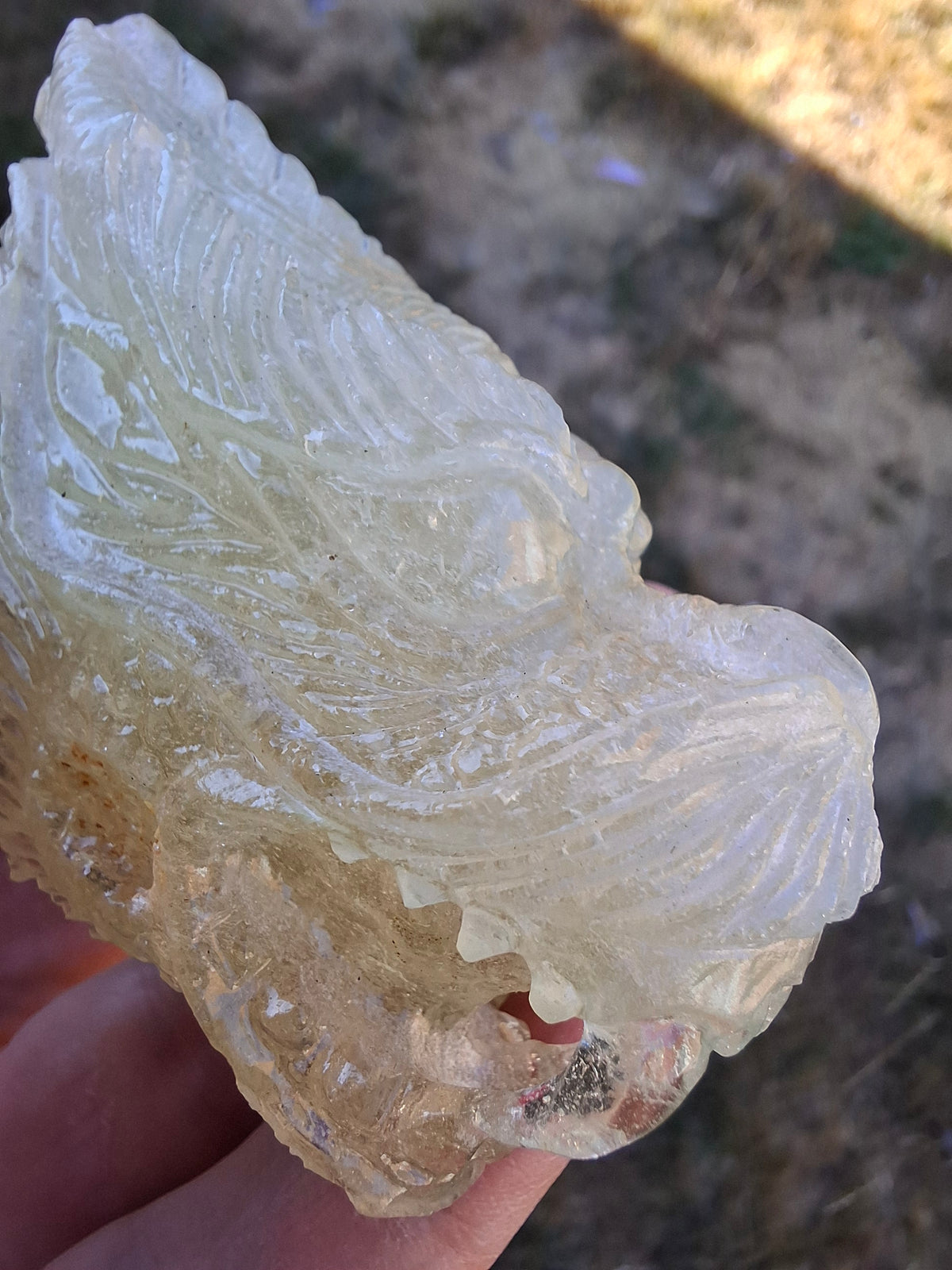 Libyan Desert Glass DRAGON HEAD Carving, 75.84g, Tektite (Ref: Dragon1)