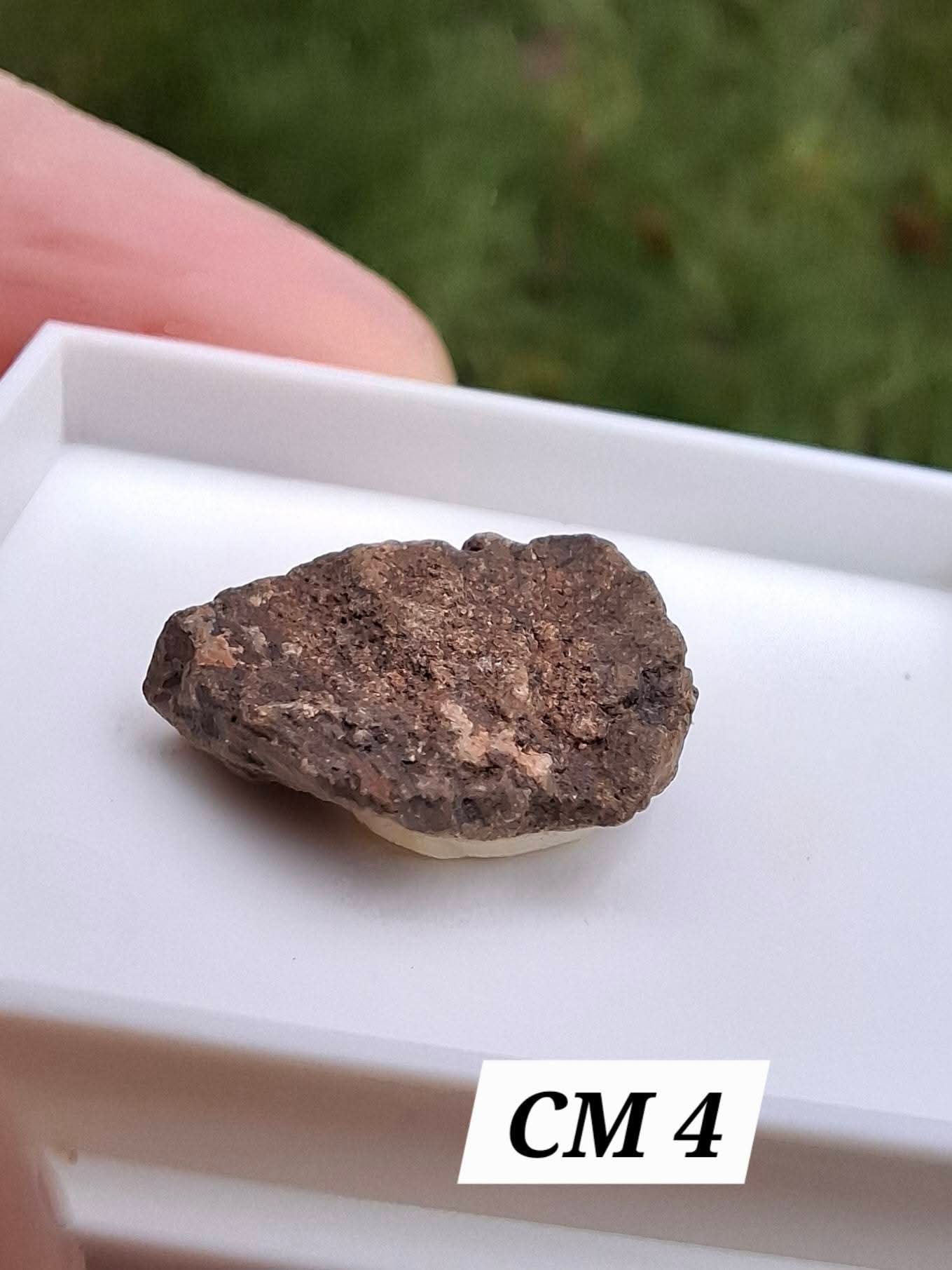 Chrondrite, Meteorite (Ref: CM4)