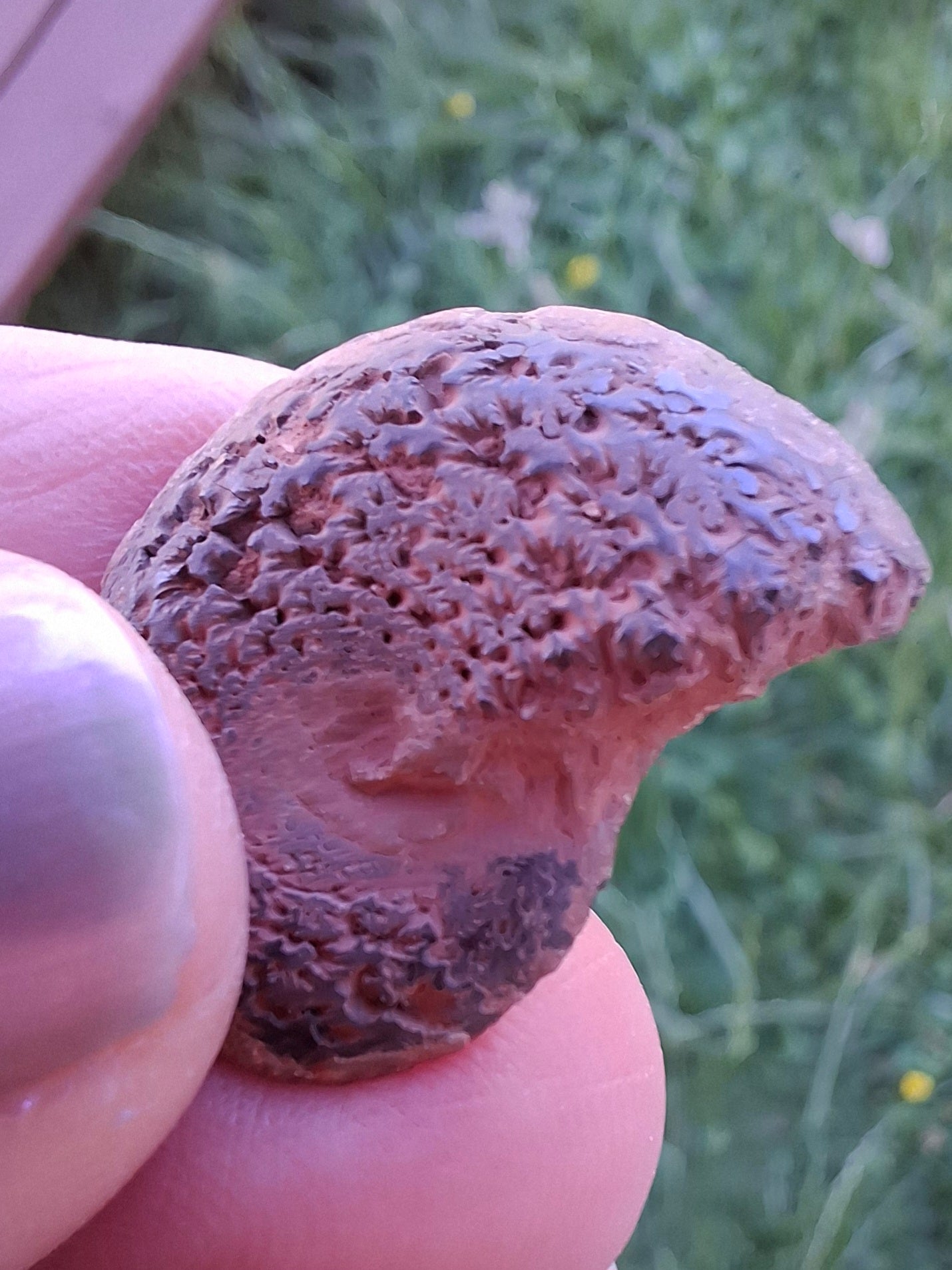 Small Haematite Ammonite HALF, 2.55g, Fossil (Ref: MA8)