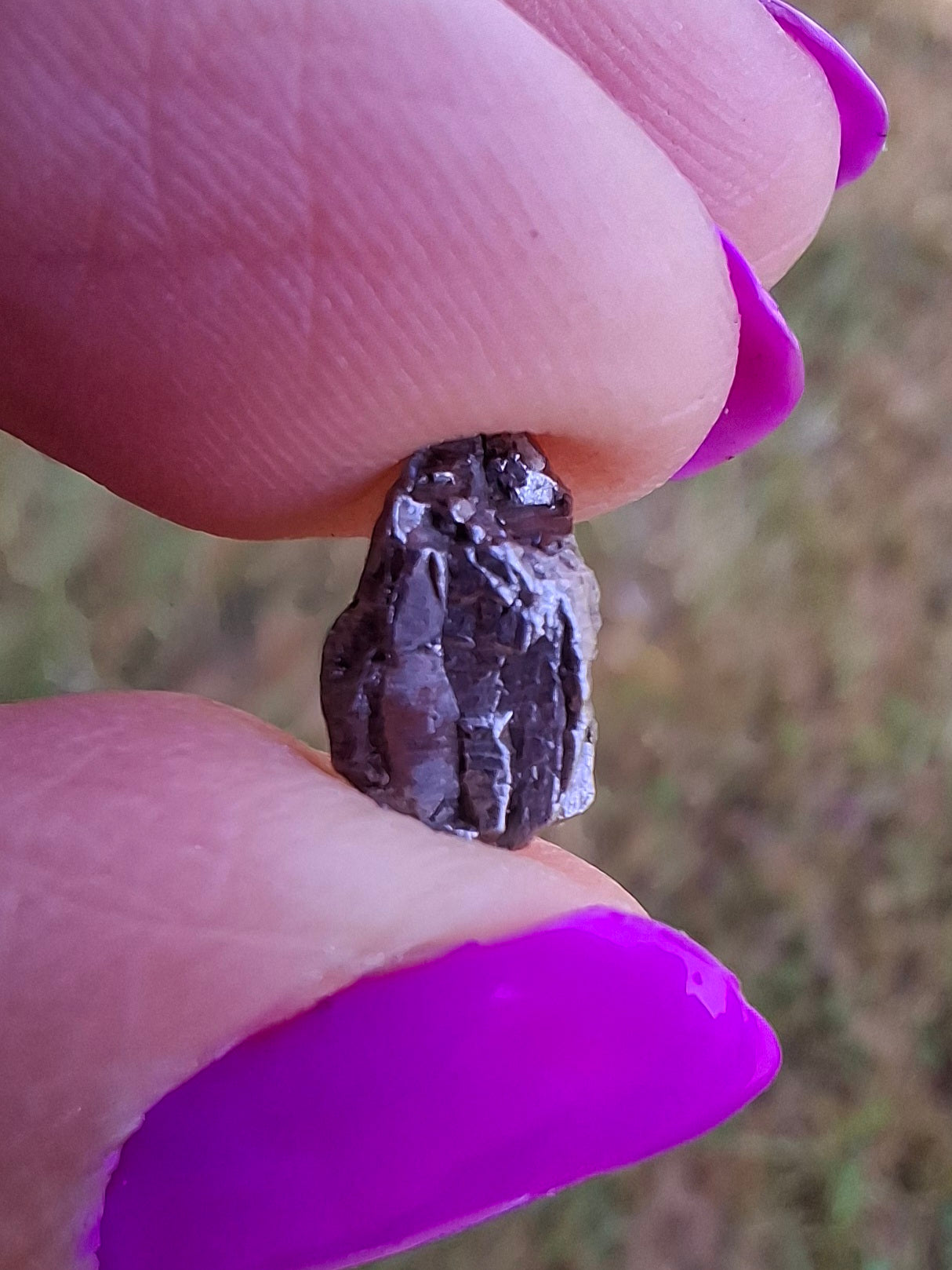 Campo del Cielo, 1.05g, Nickel Iron Meteorite (Ref: C11)